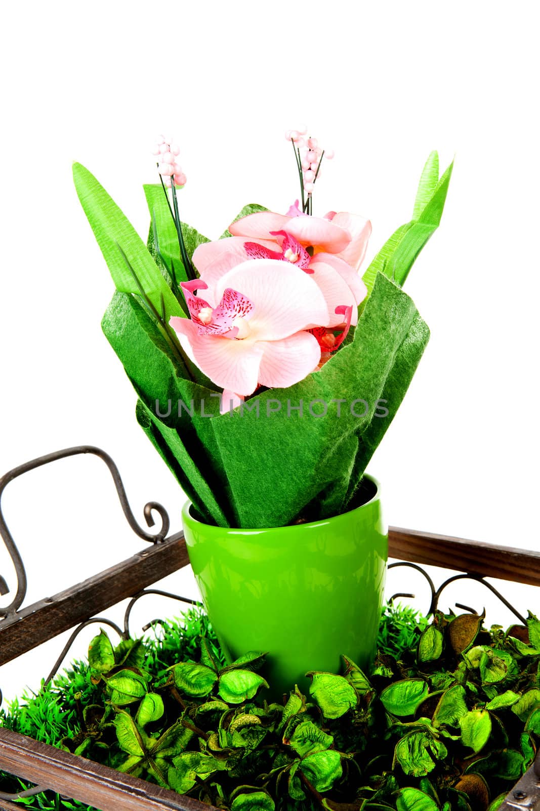 Fake orchid in tray with decoration over white background
