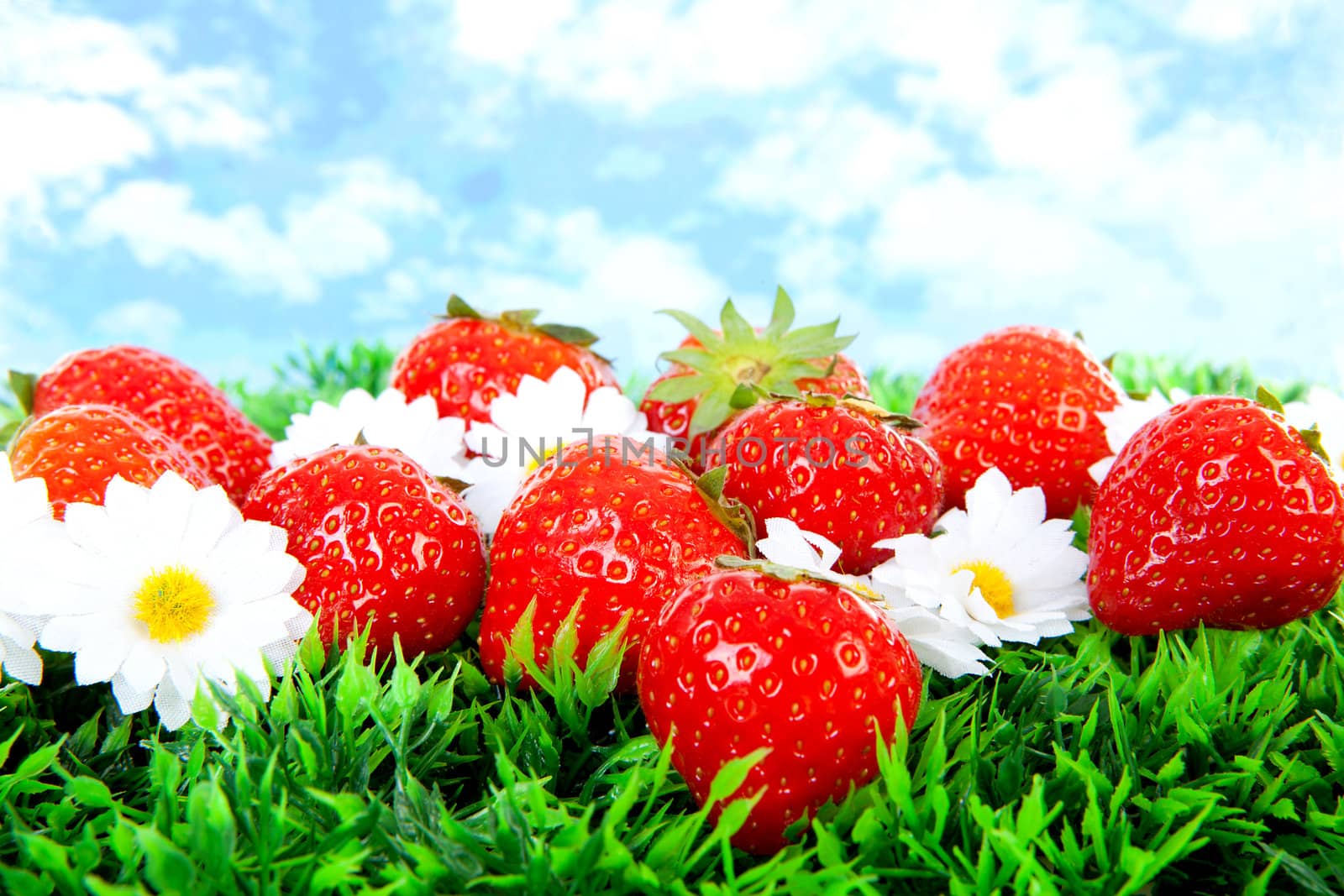 Fresh strawberries on grass over cloudy background