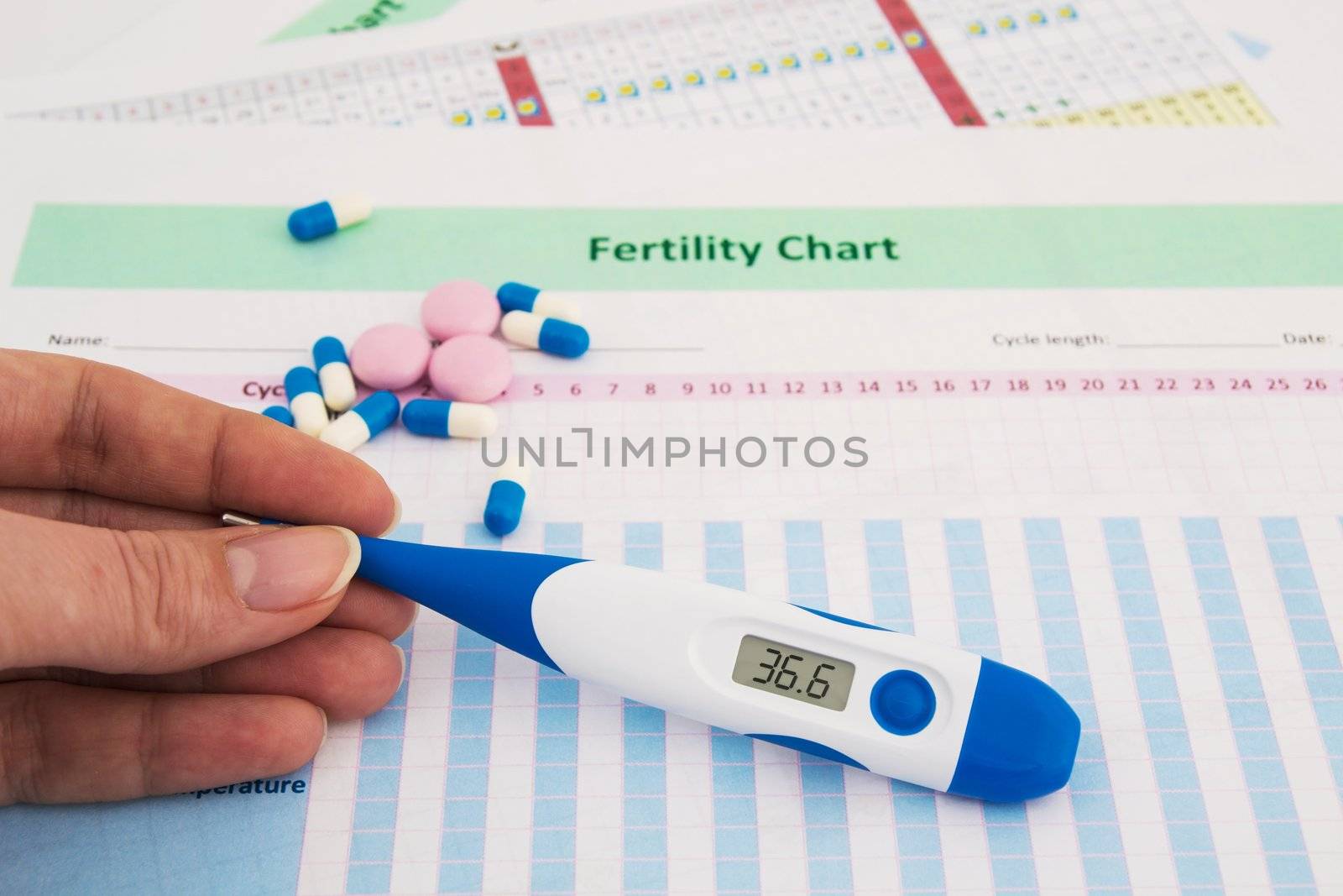 Woman hand holding thermometer on fertility chart by simpson33