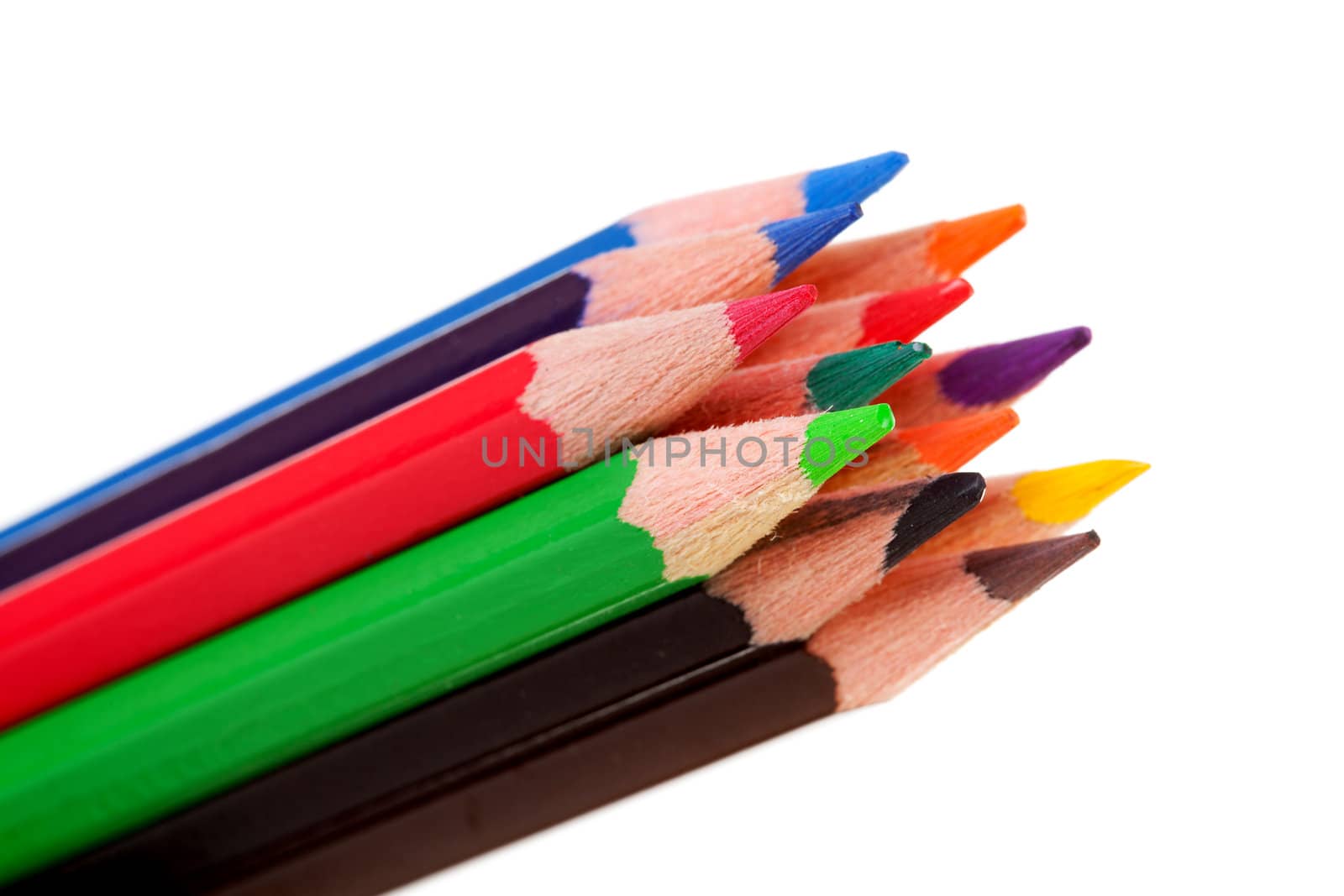 colorful pencils in closeup isolated on white background 
