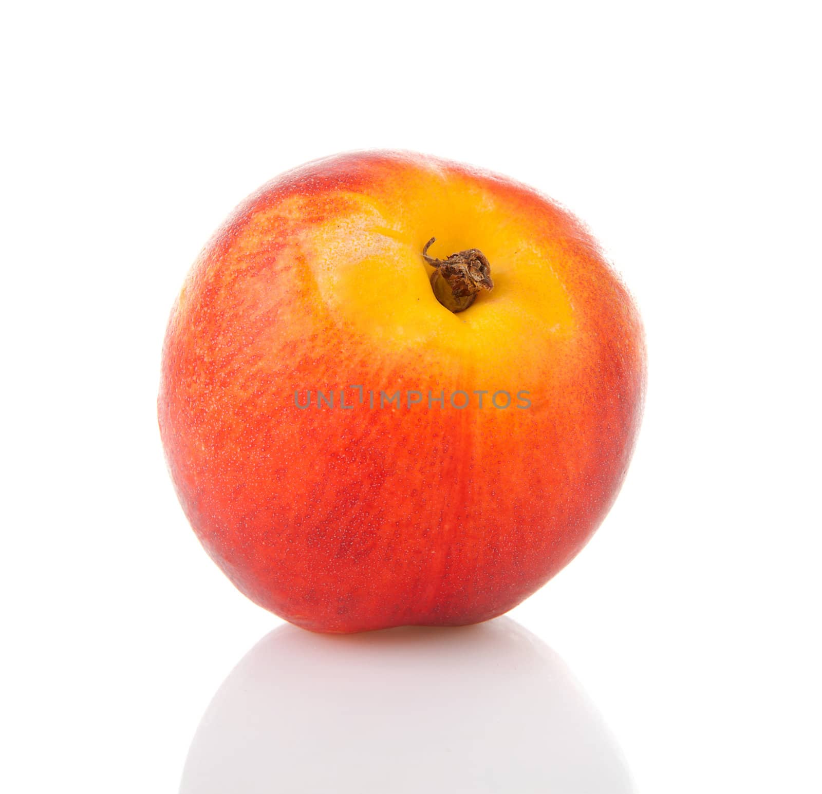 One fresh nectarine in closeup over white background