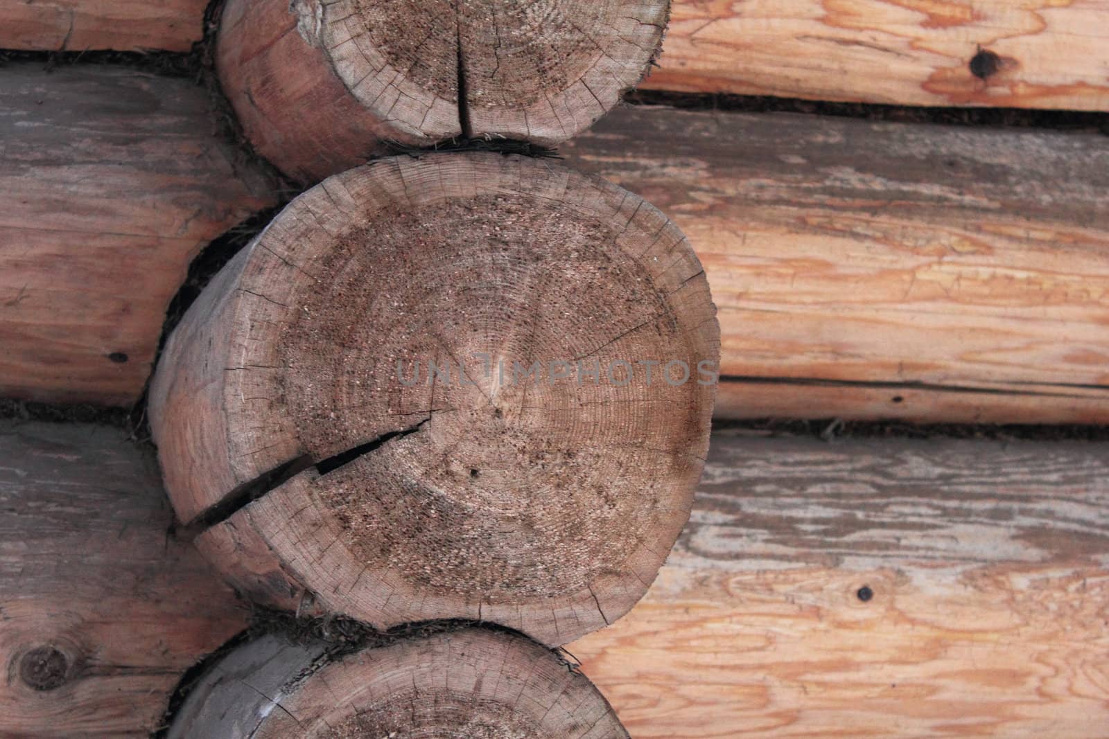 Corner of the log walls