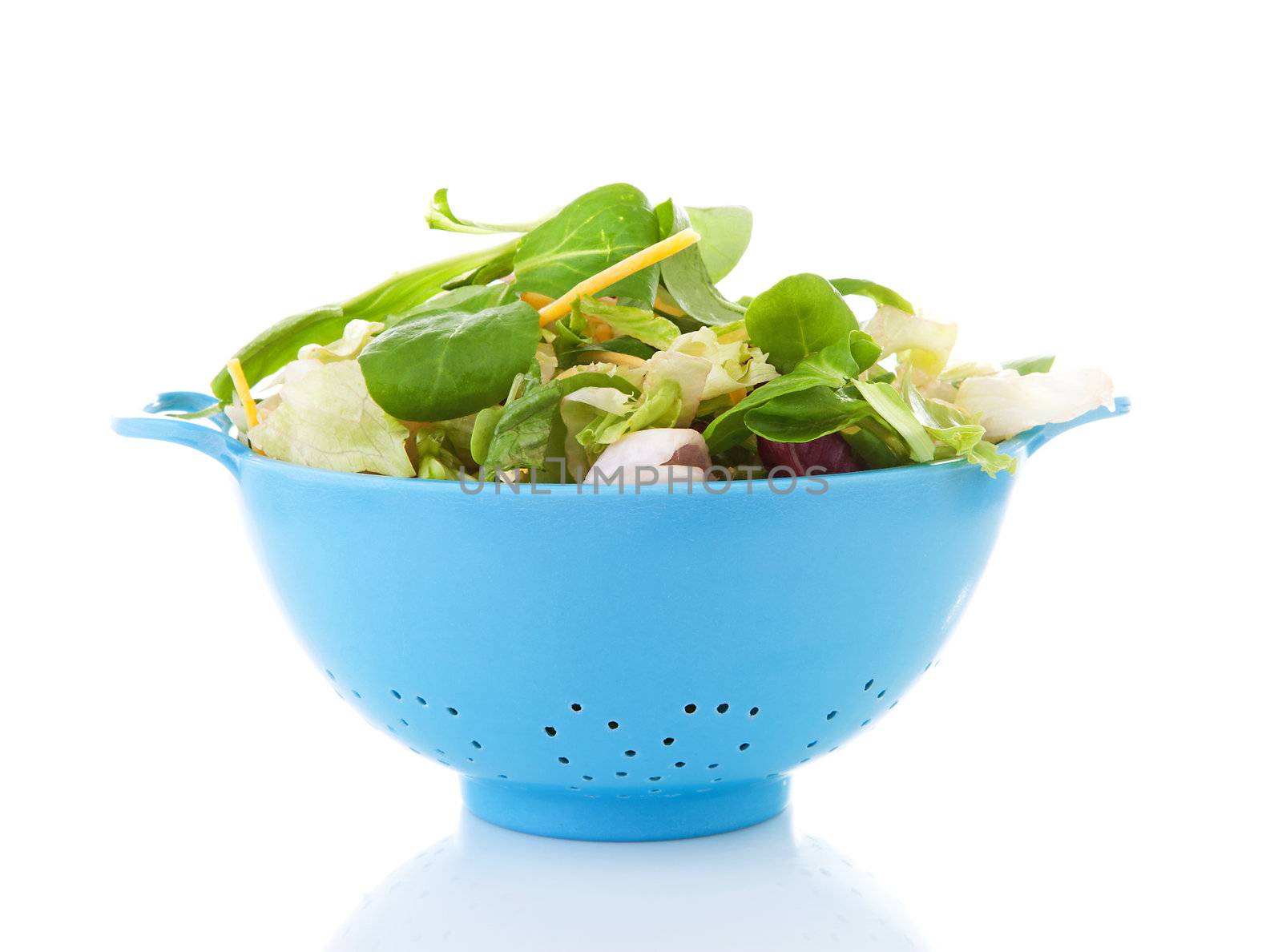 Blue colander with fresh lettuce over white background