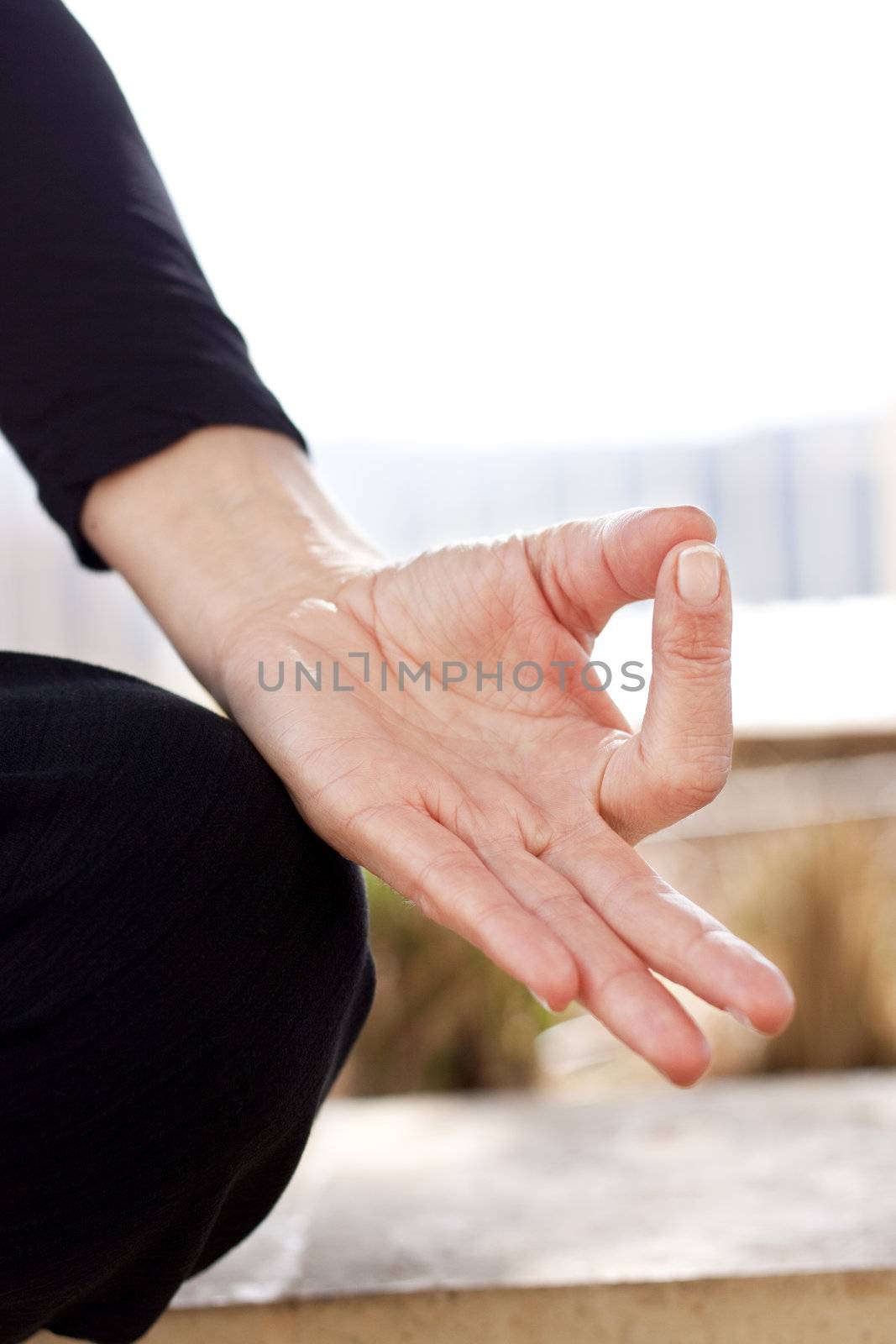 Yoga hand in gyan mudra position. Vertical, Space for text