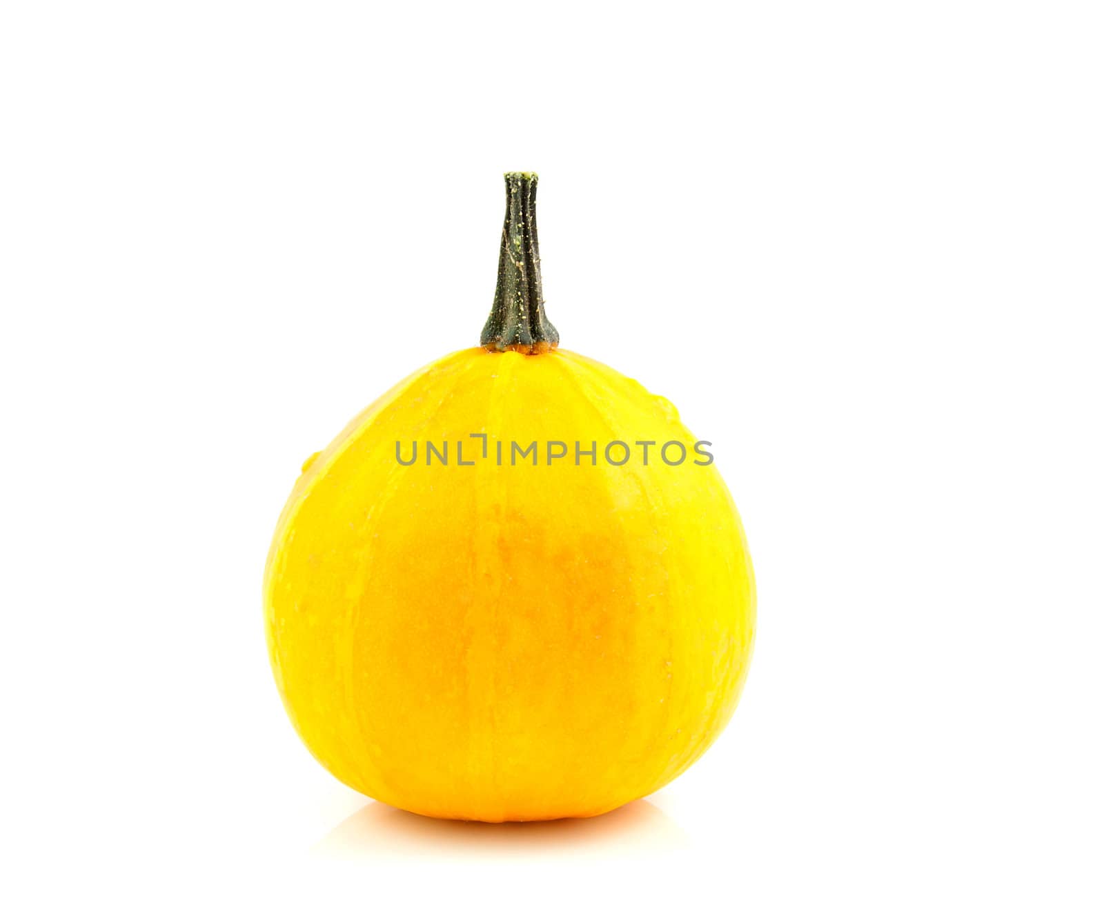 One Yellow gourd isolated on white background