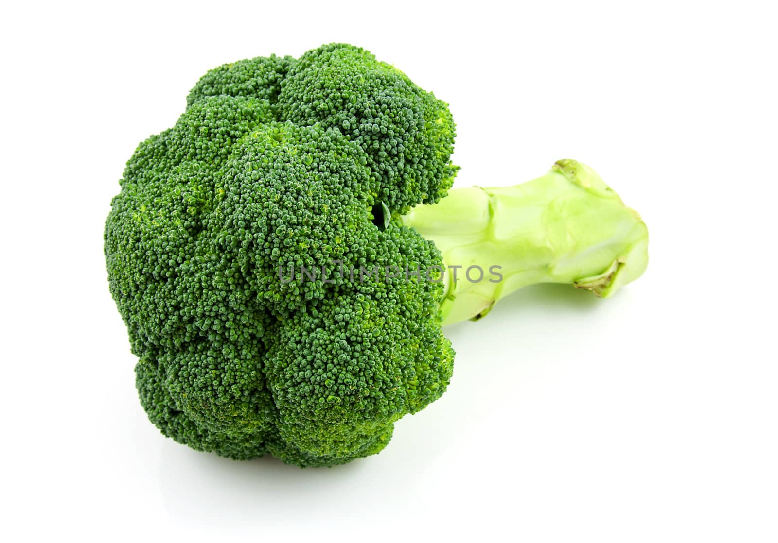 Fresh broccoli vegetable isolated on white background