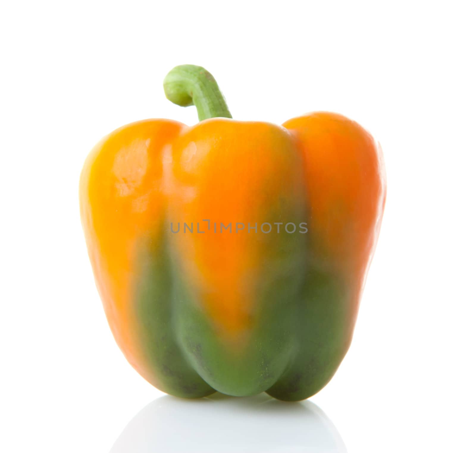 Colorful paprika vegetable over white background
