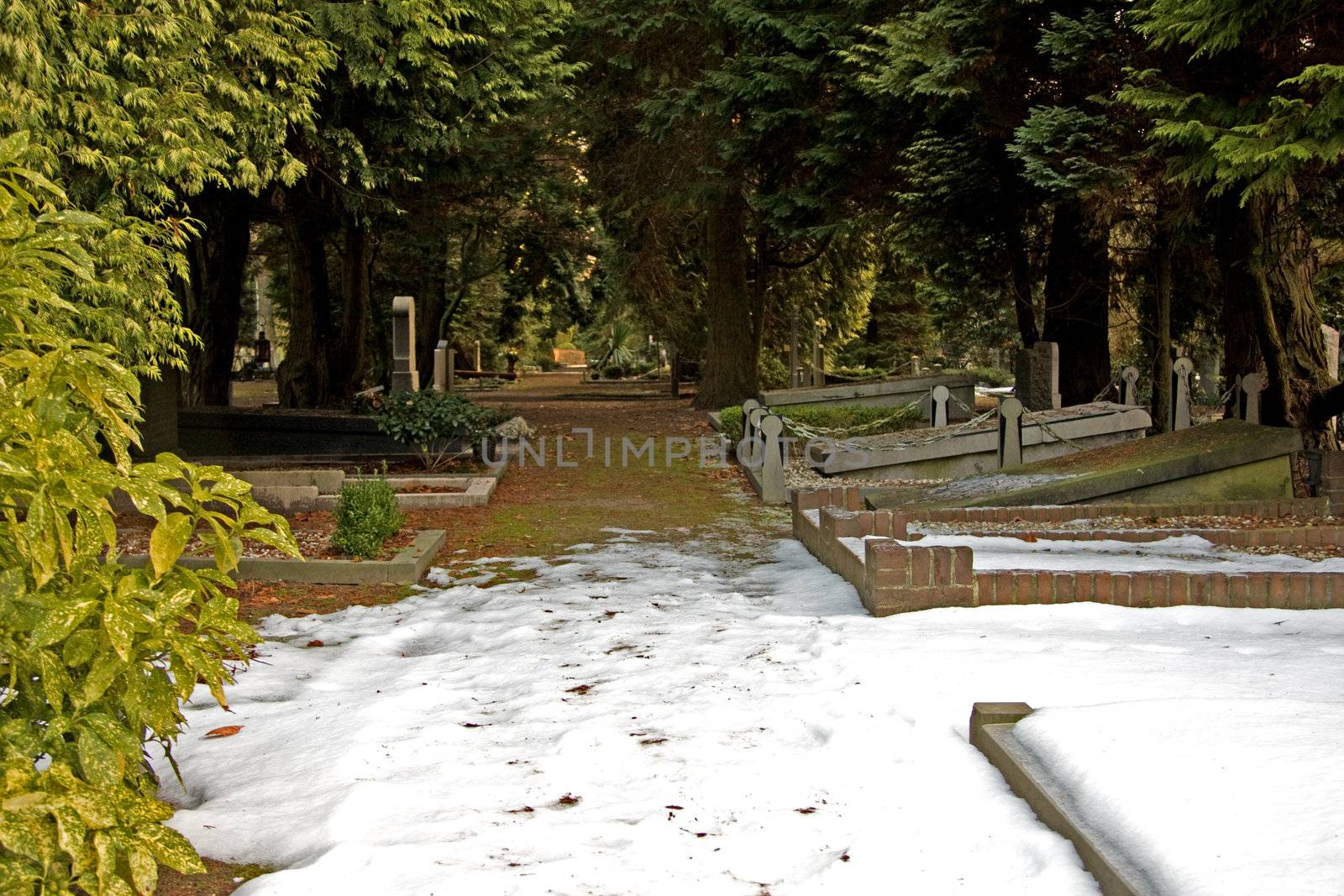 graveyard in the middle of the winter, covered with snow