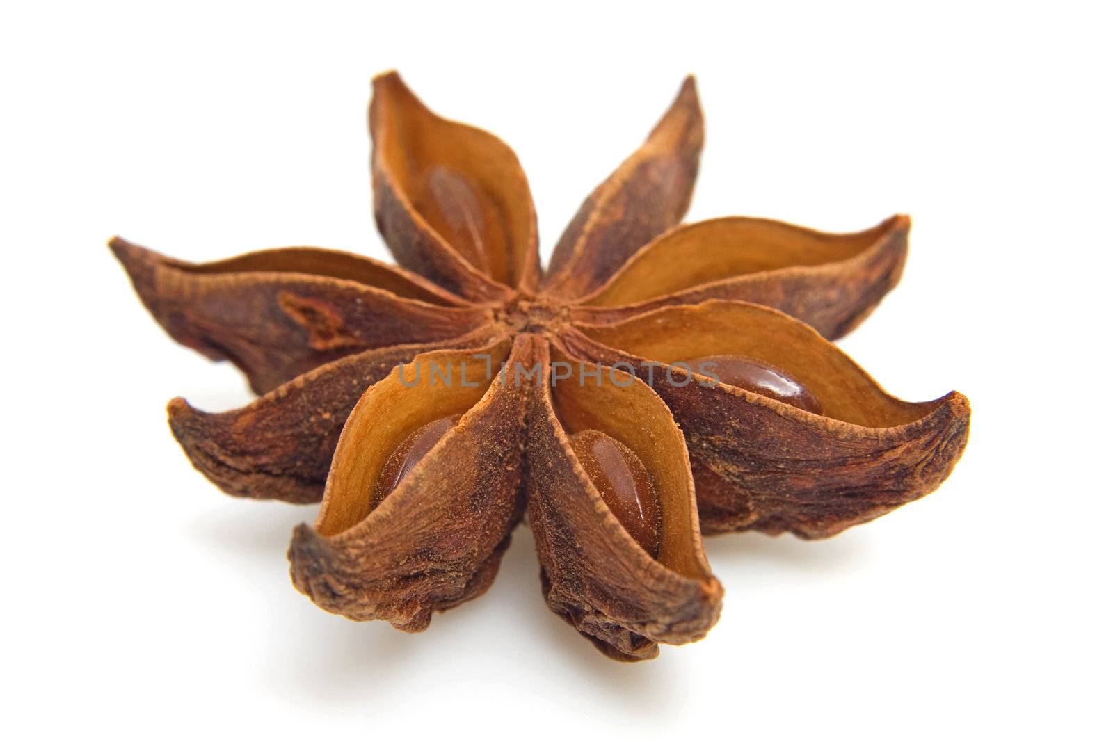 whole star anise in closeup over white background
