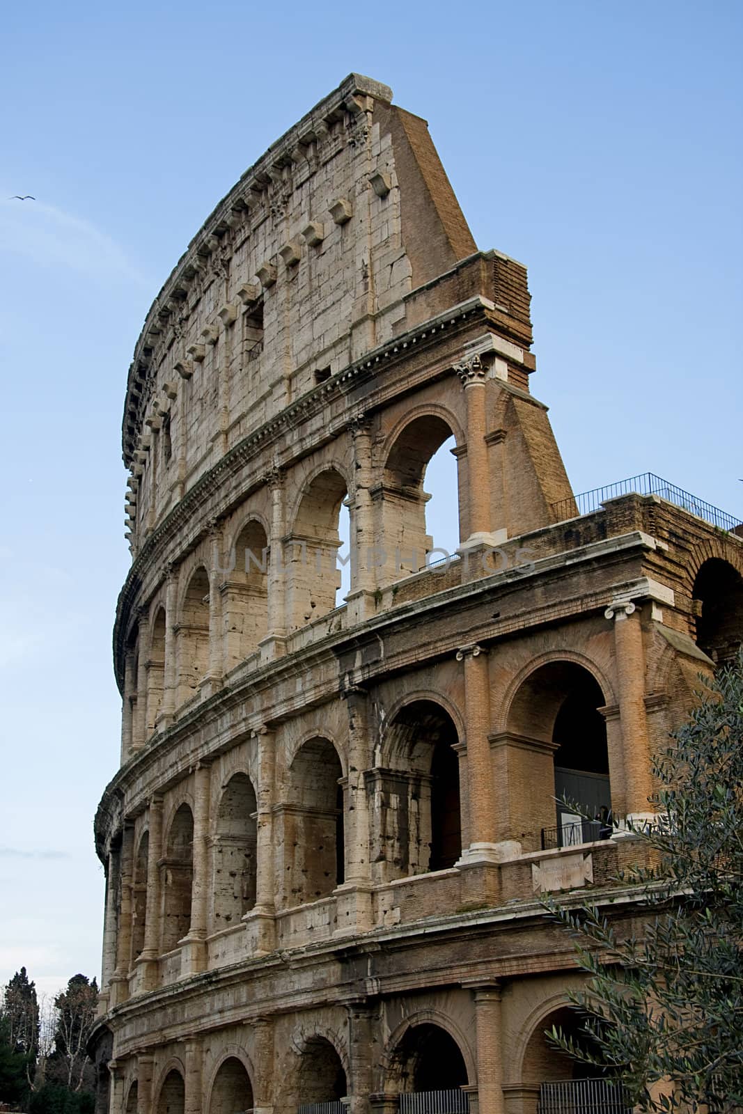 View of the colosseum in Rome