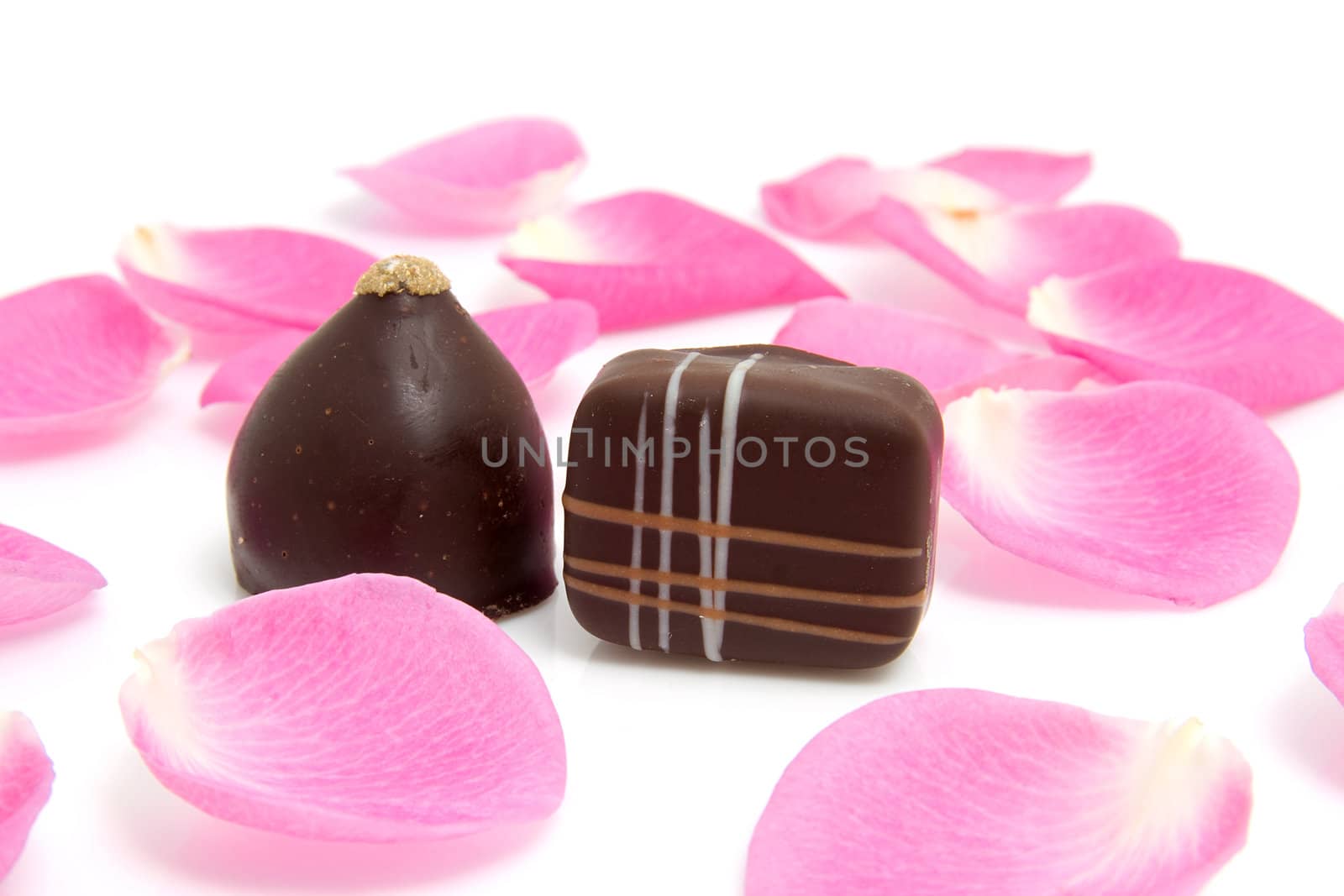 pink rose leaves with chocolate bonbons for Valentine's day over white background