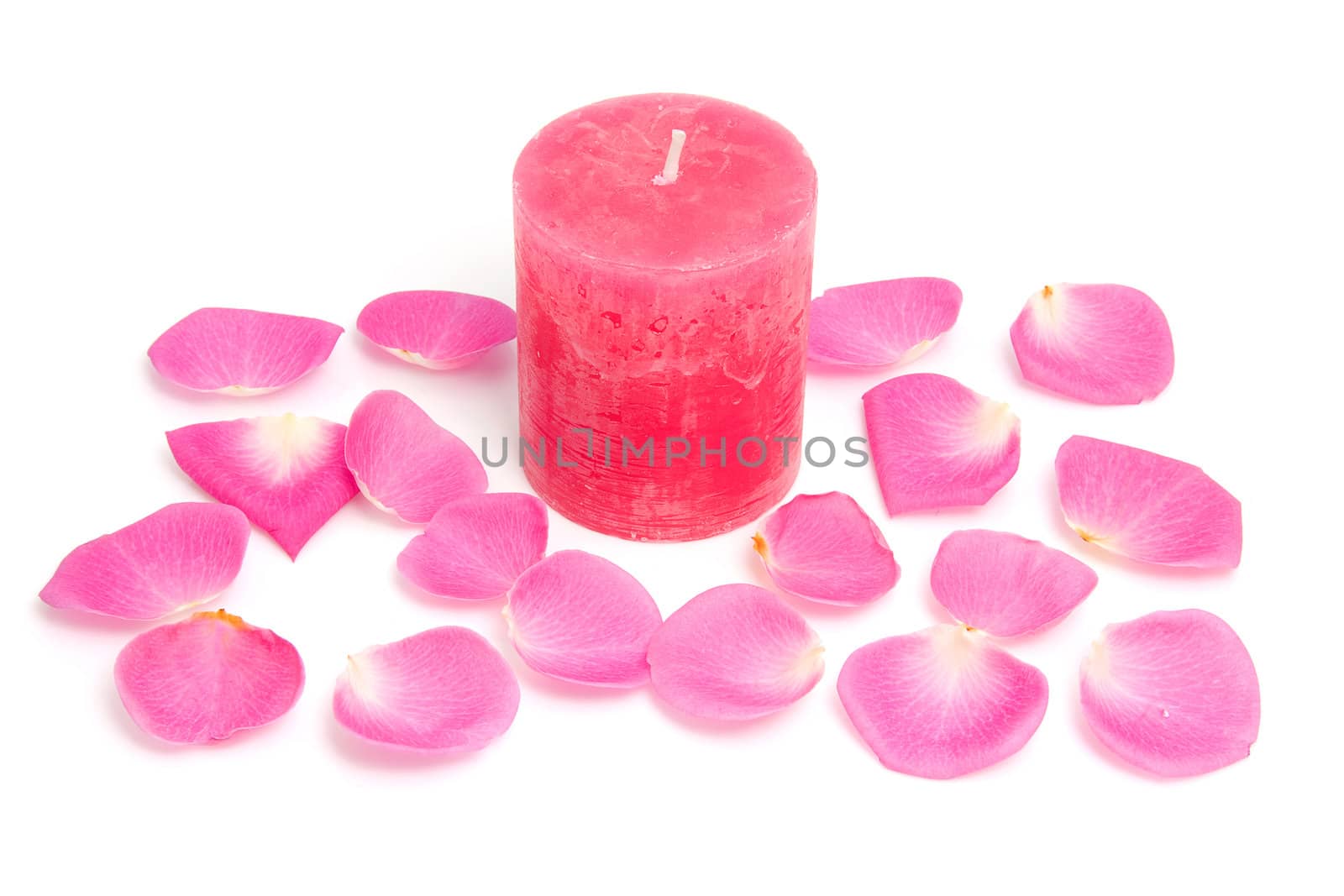 Pink candle with rose leaves over white background
