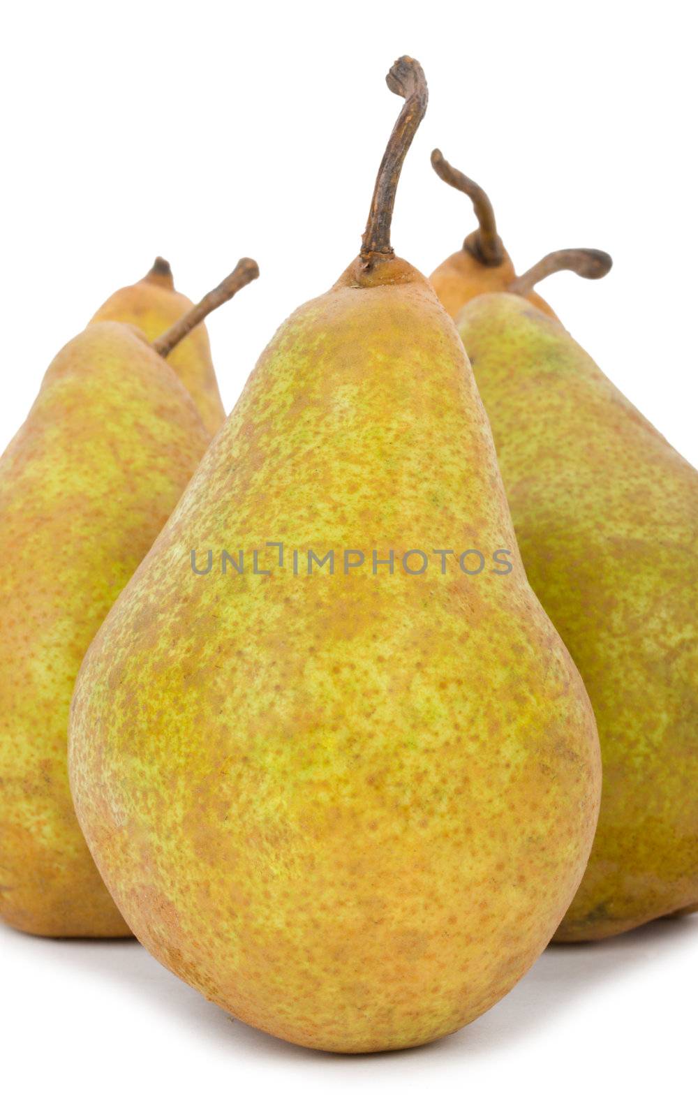 close-up ripe big pears, isolated on white