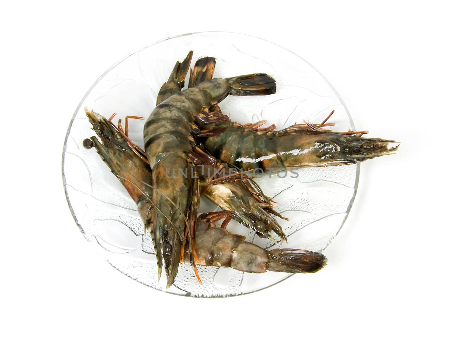 plate with raw shrimp isolated on white background