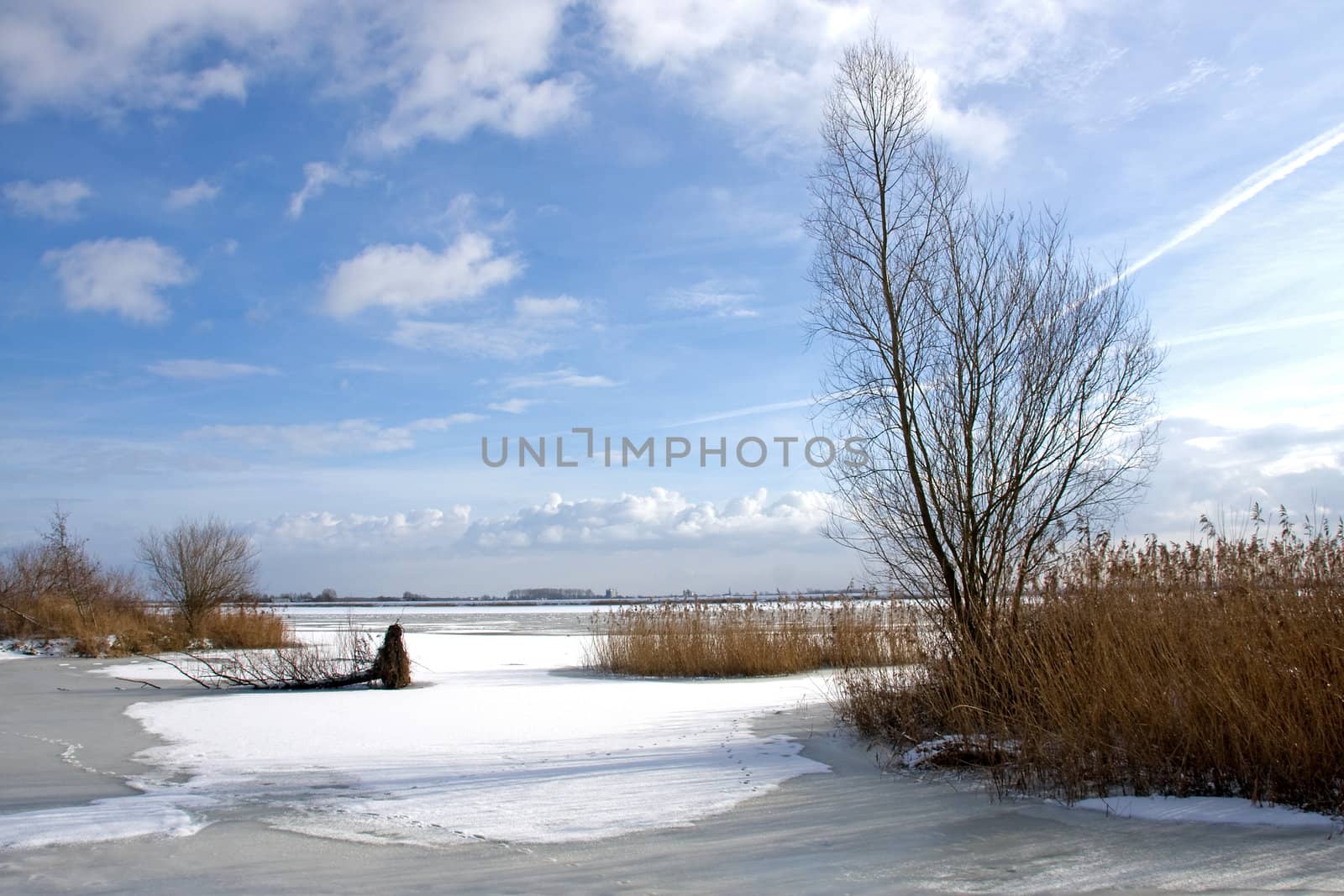 Snow landscape in the Netherlands