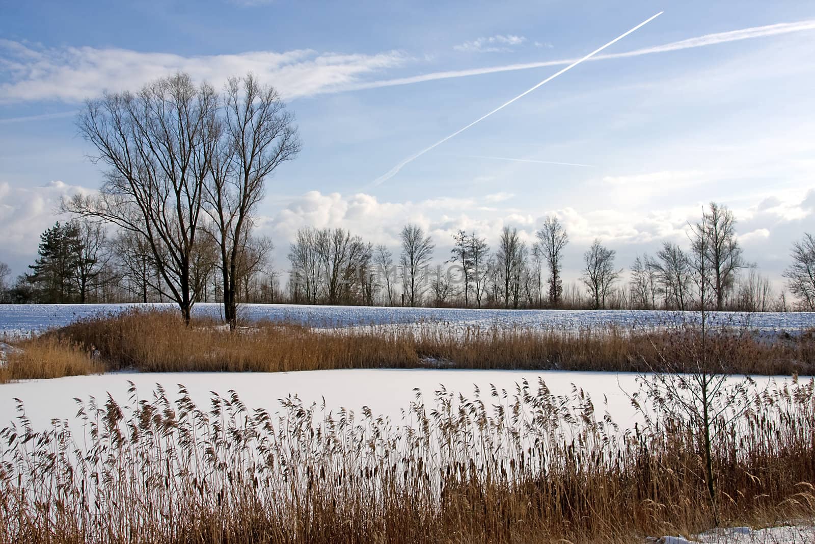 Snow landscape in the Netherlands