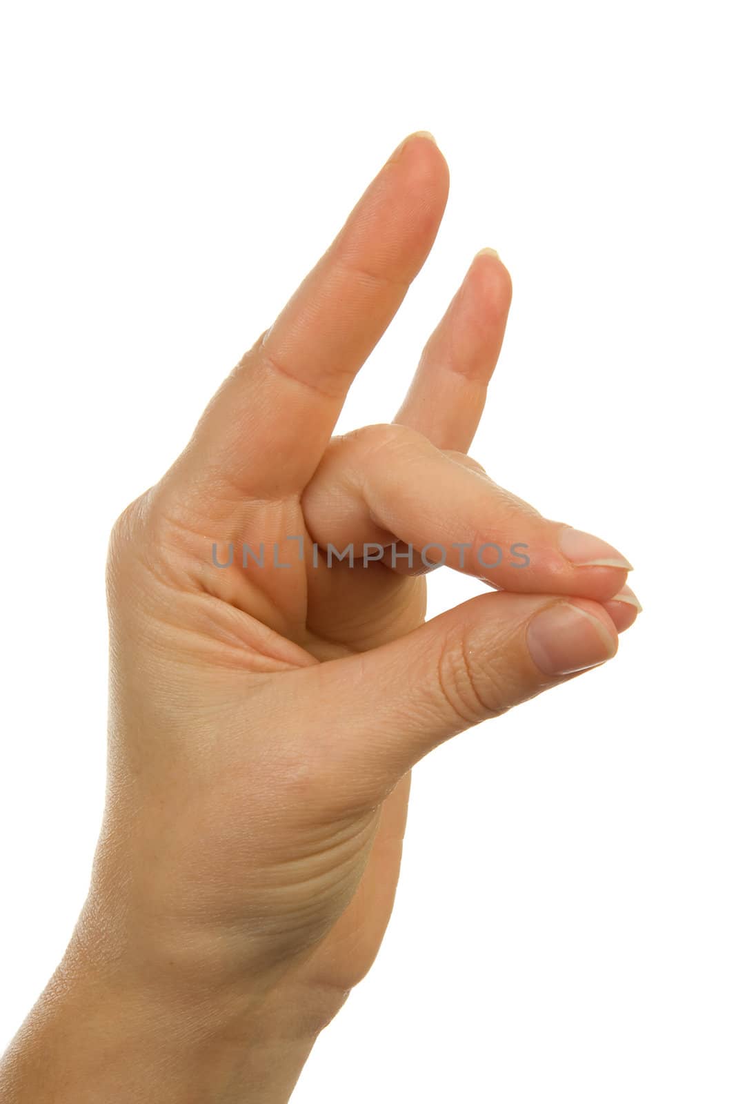 Hand gesture: making animal shape over white background