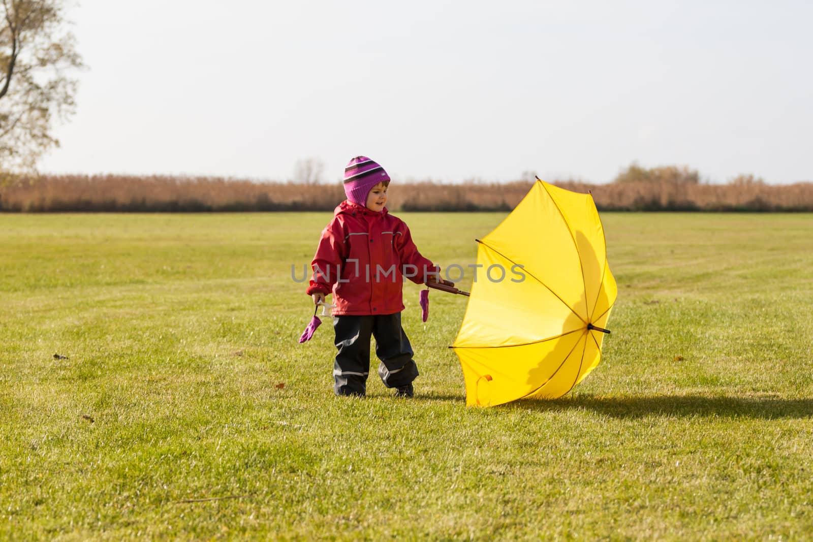 autumn child portrait with yellow umbrella