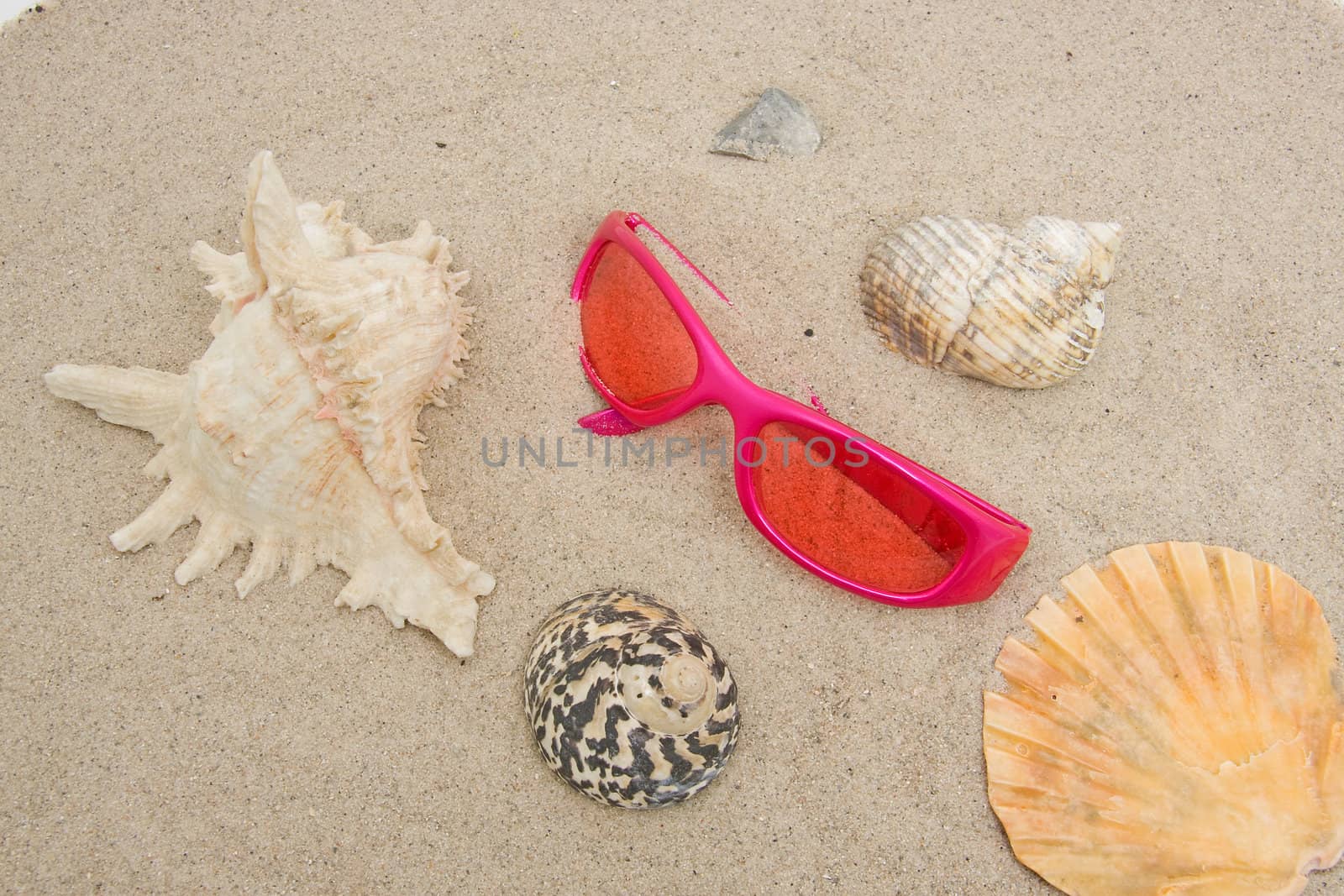Pink sunglasses on the beach with shells