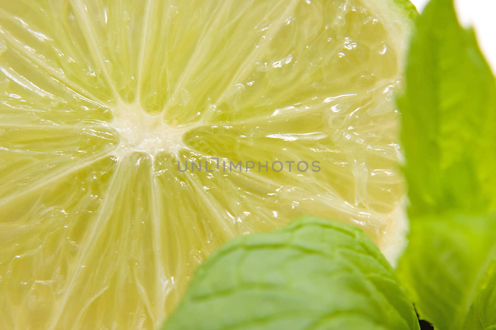 slice of fresh juicy lime with mint leaf in closeup