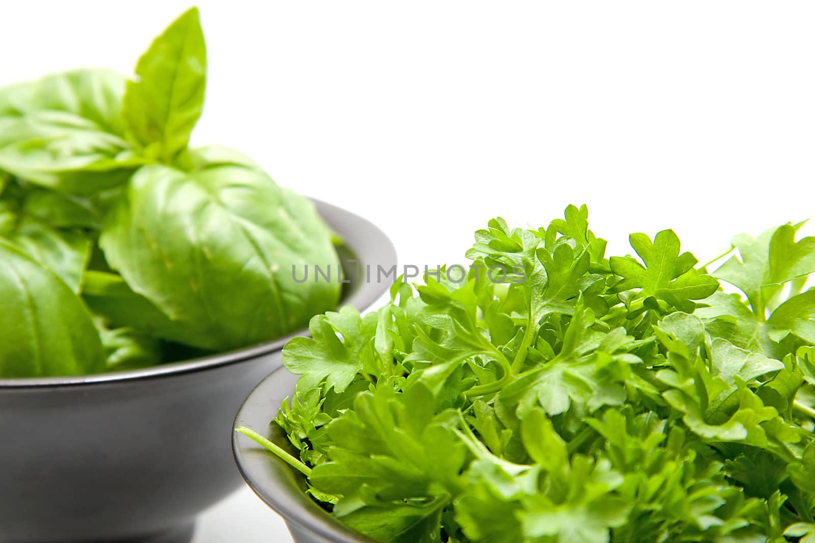 black bowls with basil and parsley in closeup over white background