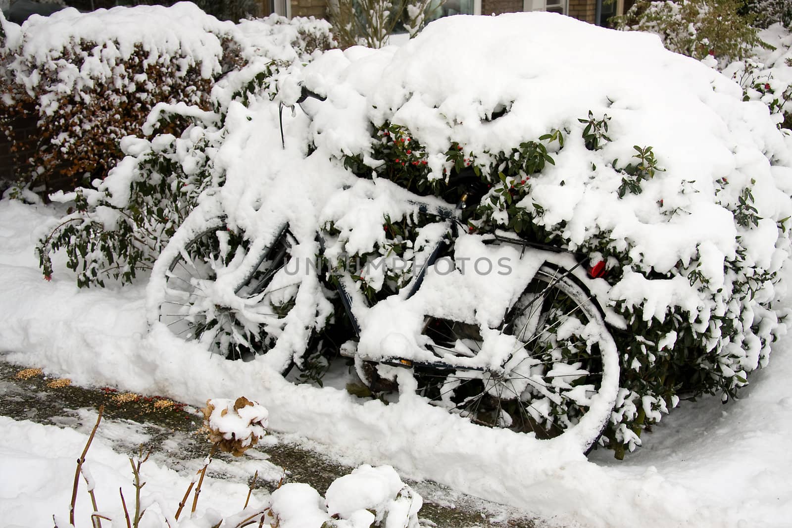 bicycle burried onder the snow, it's winter time