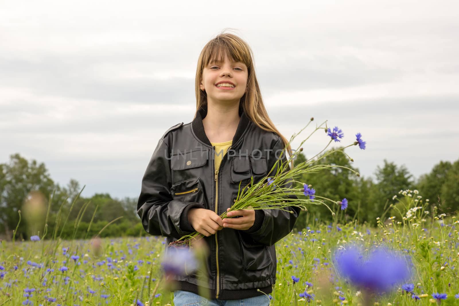 young girl in wild cornflower field