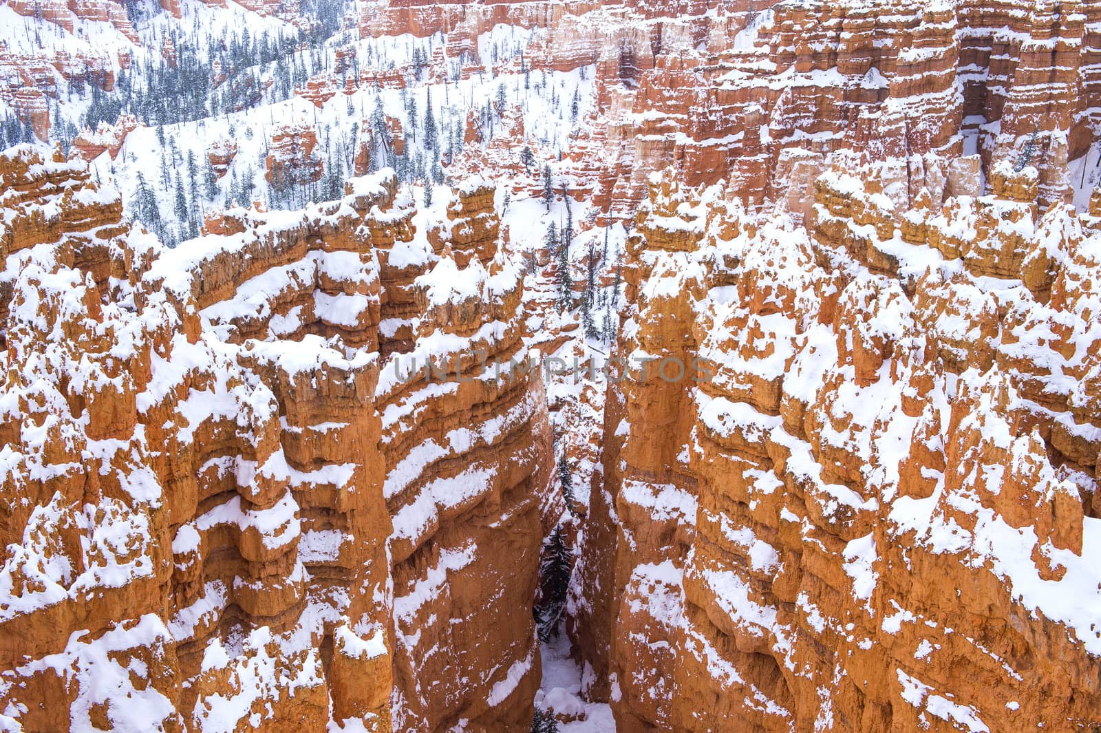 Bryce Canyon by kobby_dagan