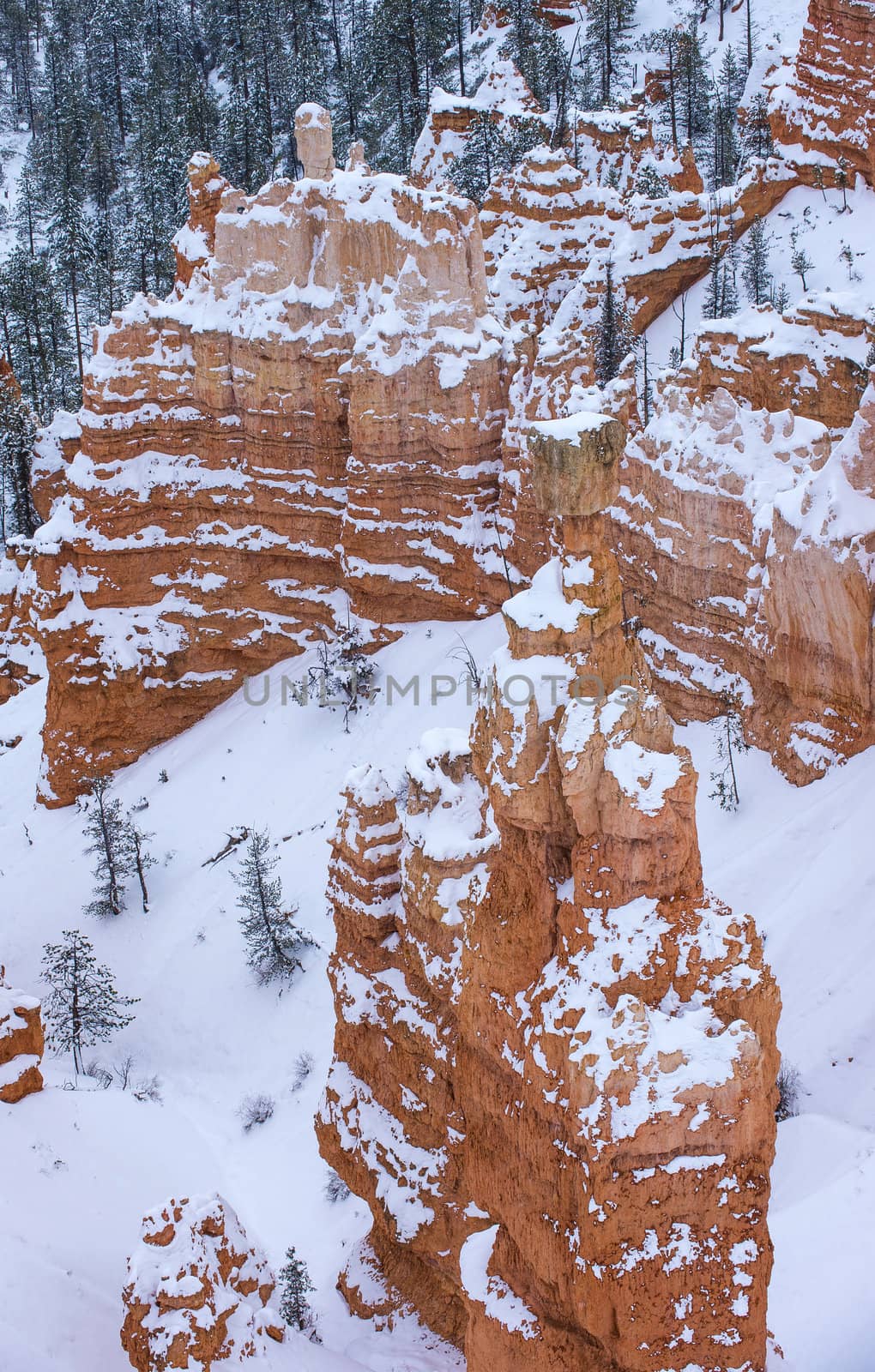 Bryce Canyon by kobby_dagan