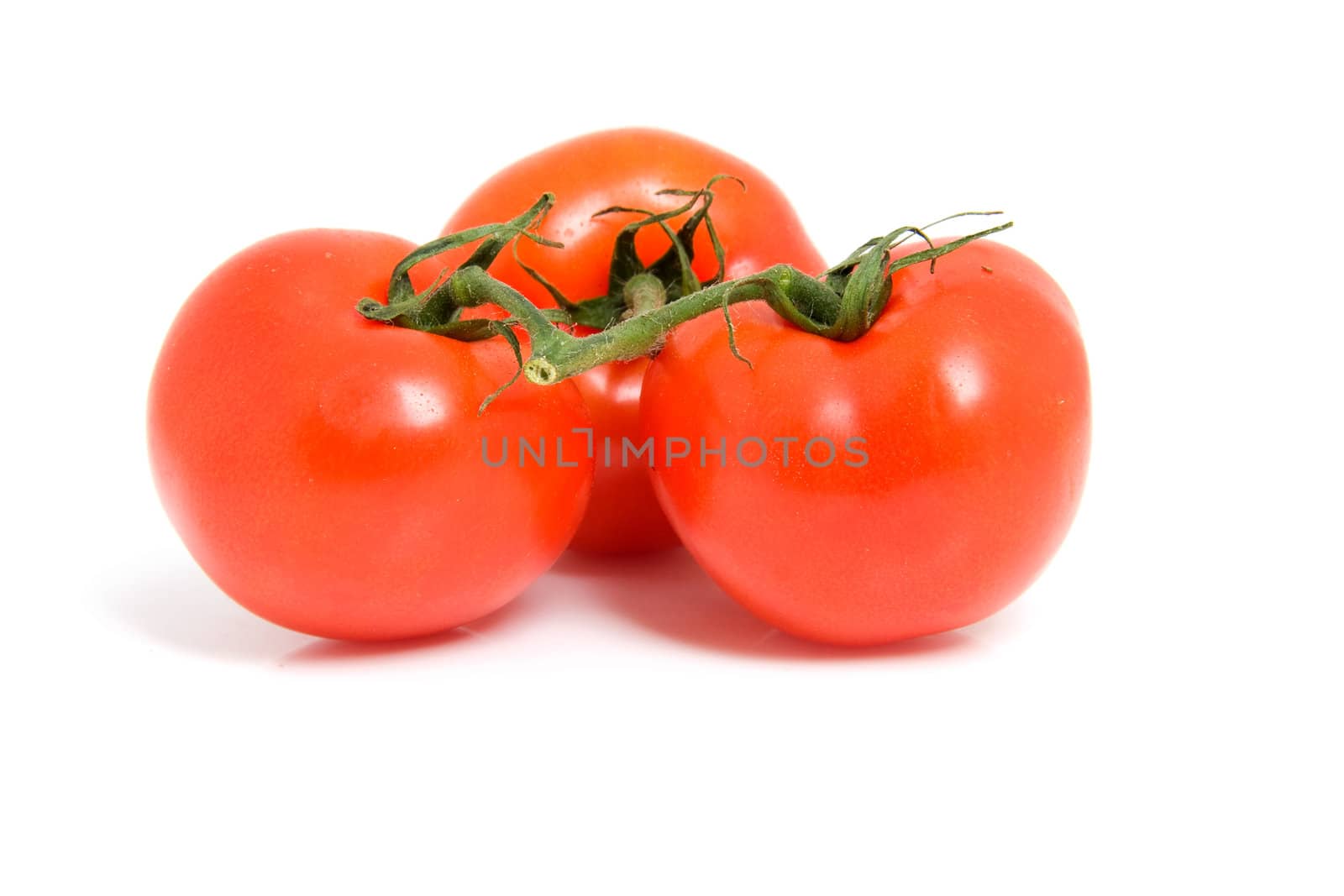 fresh spray tomatoes isolated on white background