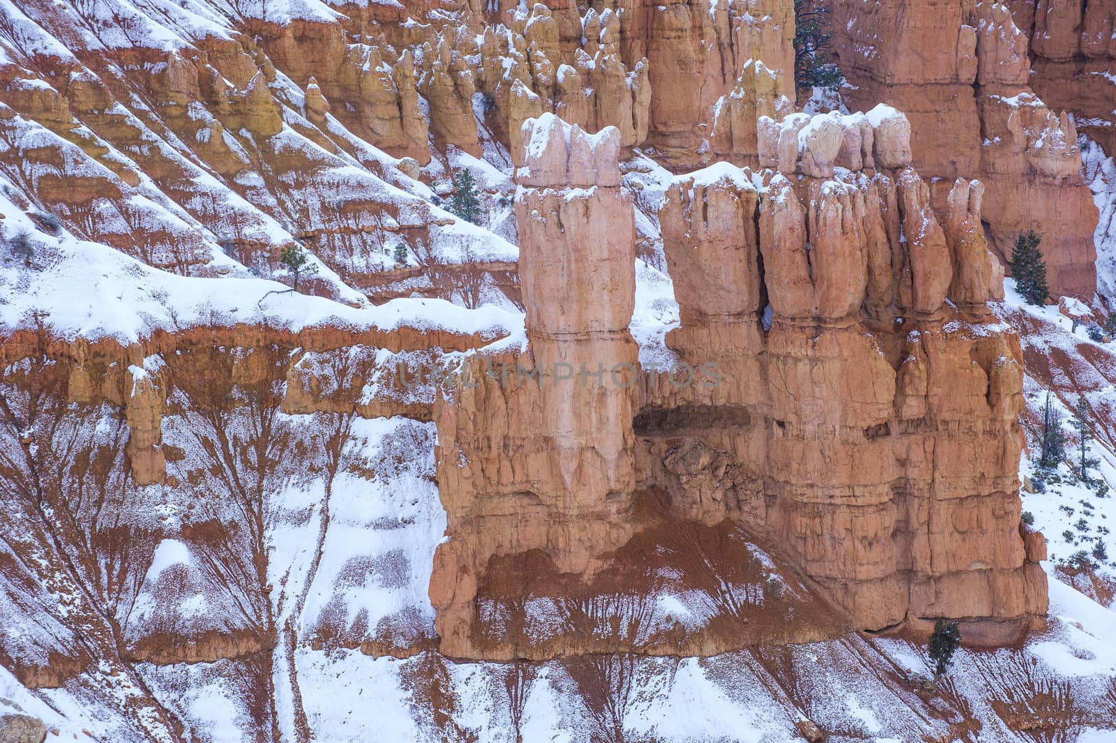 Bryce Canyon National Park, Utah in snow