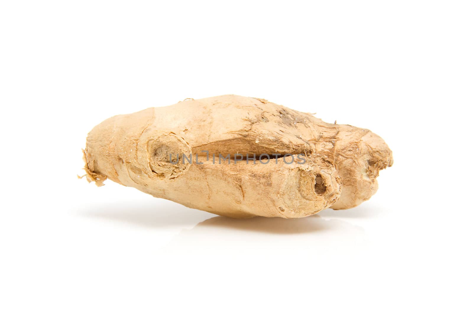 Piece of fresh ginger isolated on white background