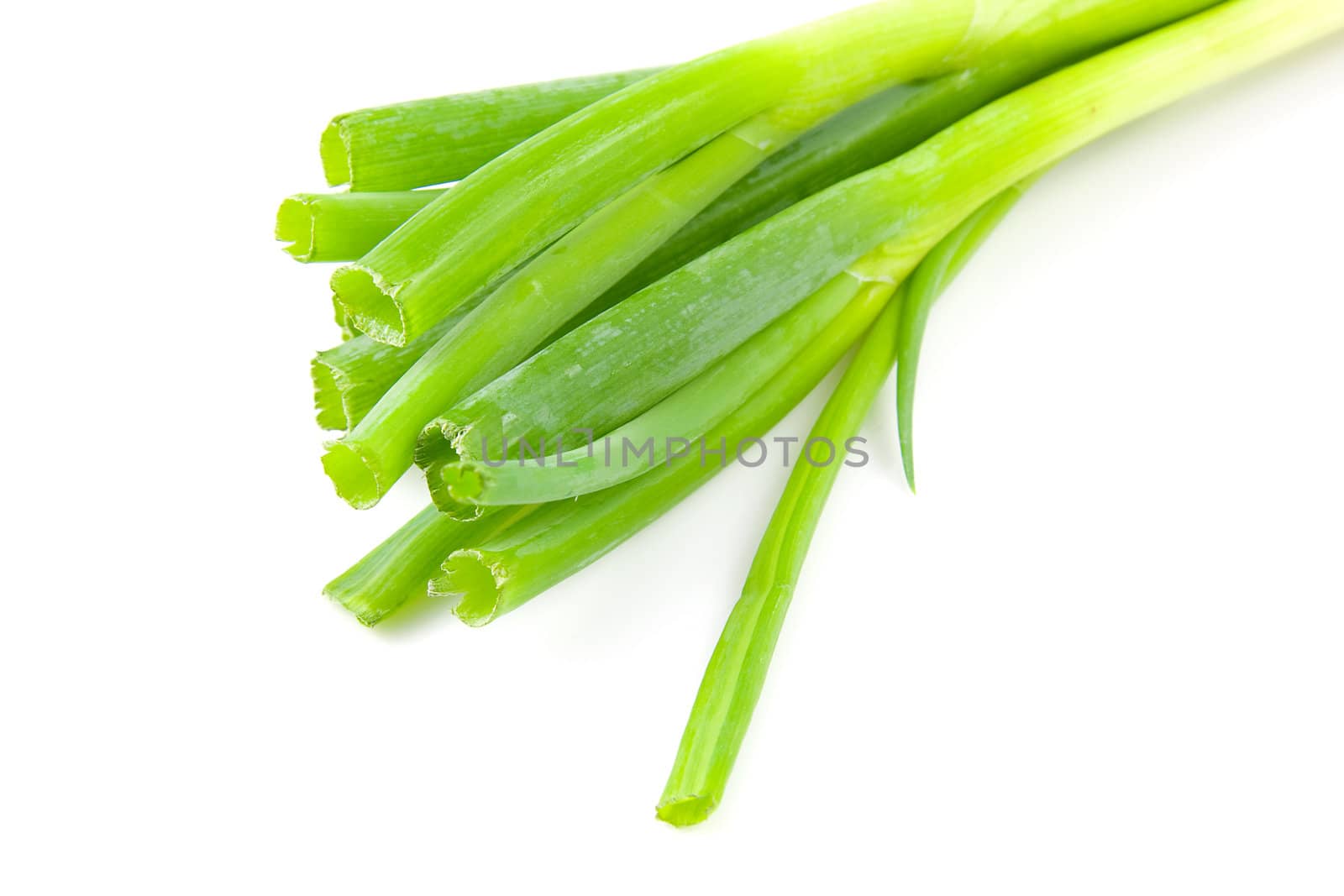 Bunch of fresh spring onions isolated on white background