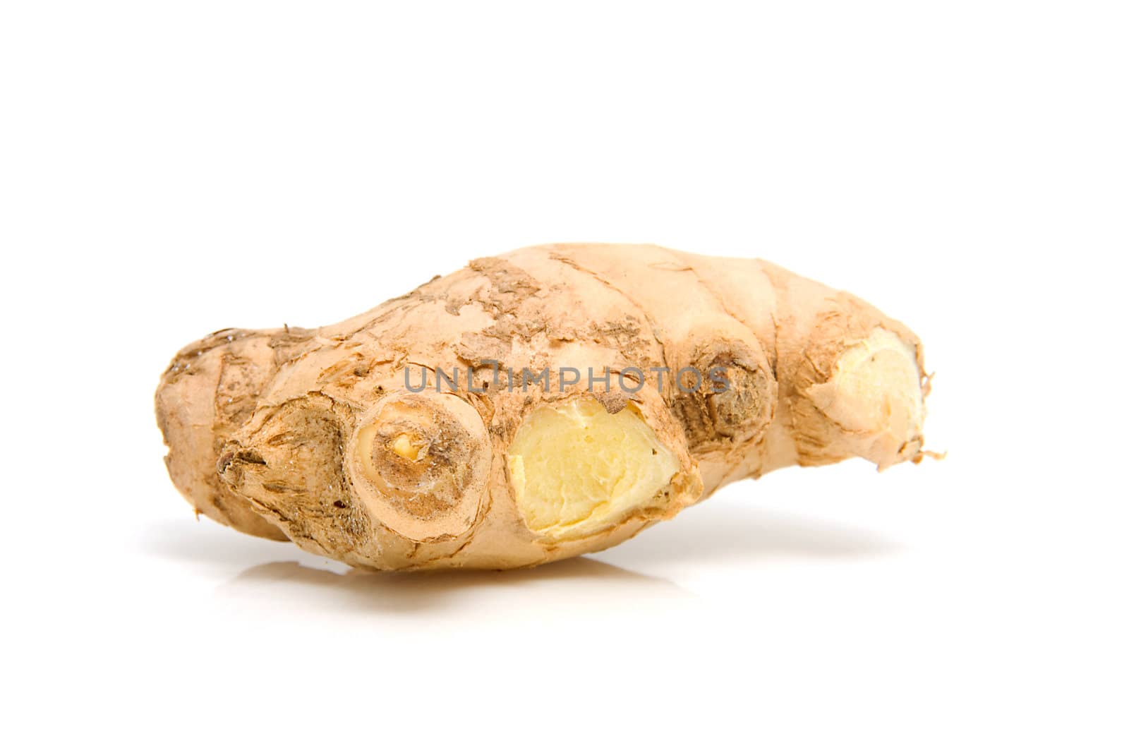 Piece of fresh ginger isolated on white background
