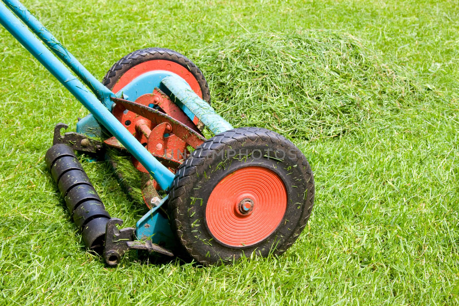 mowing the lawn, lawnmower in closeup on grass field