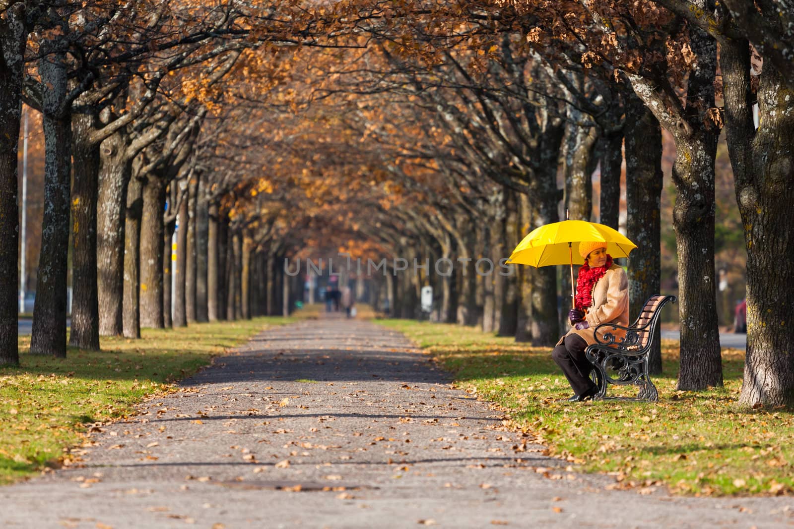 woman in the park with umbrella  by RTsubin