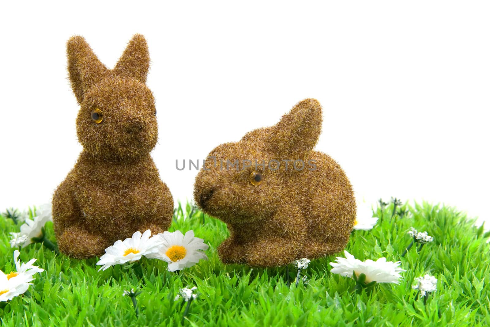 White little daisy flowers and brown bunnies on grass over white background