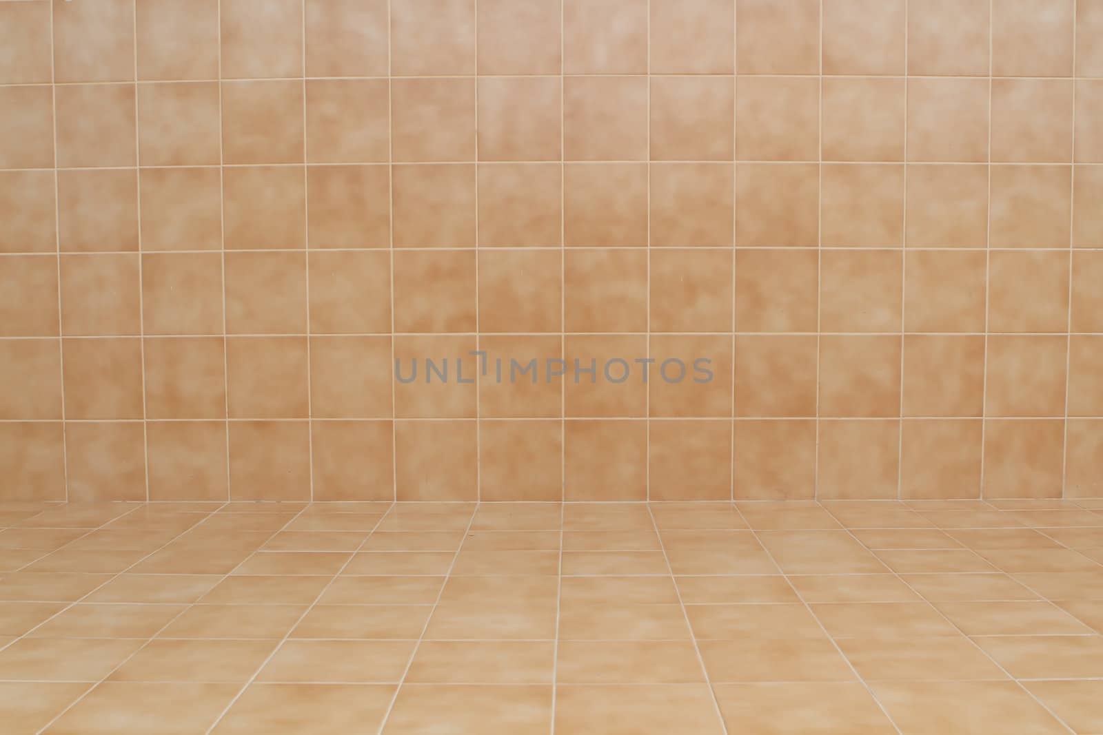 glossy ornamental stone tiled wall and floor in spacious bath room