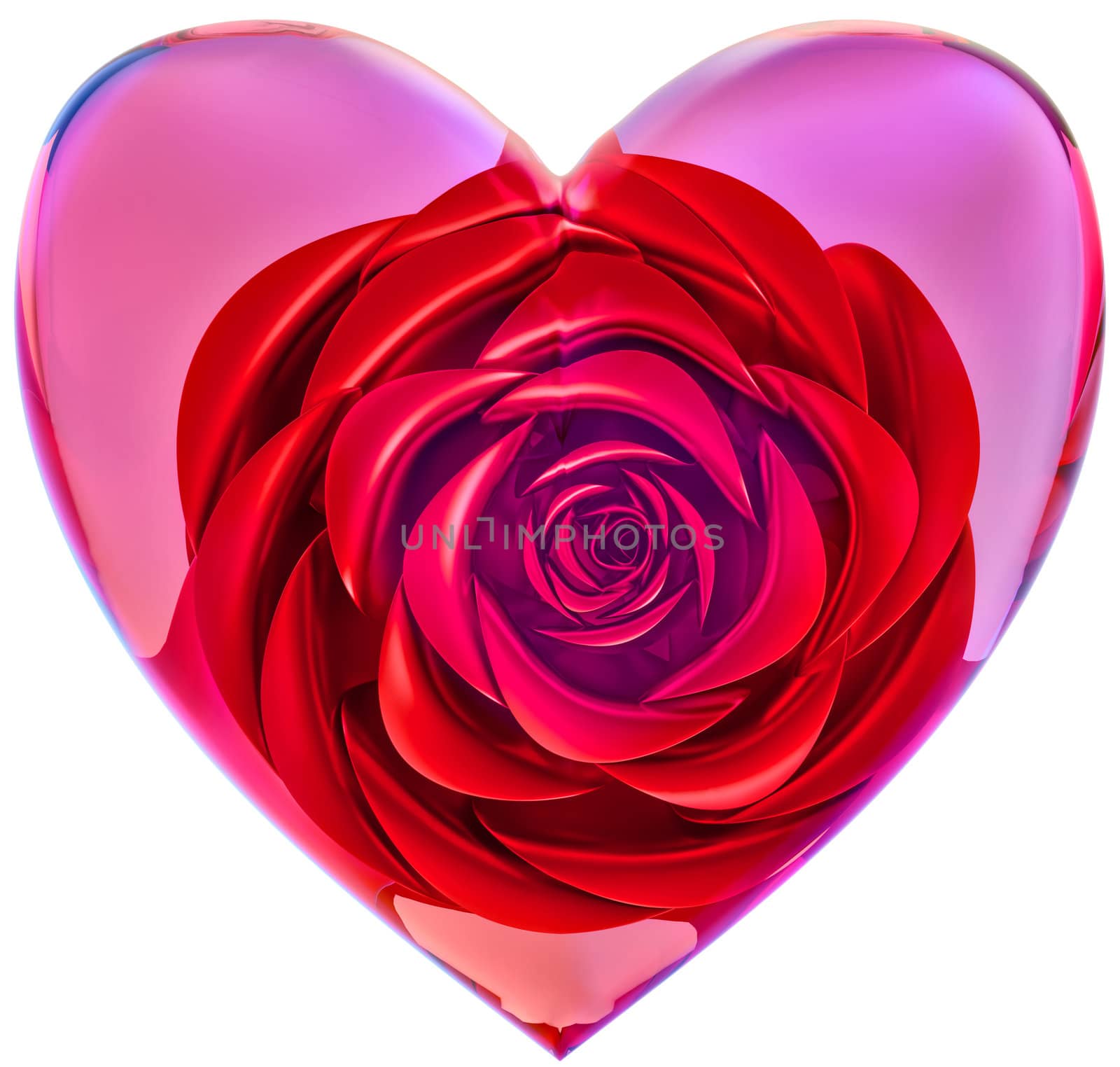 beautiful red rose in glass heart as decoration for celebration of Valentine's Day
