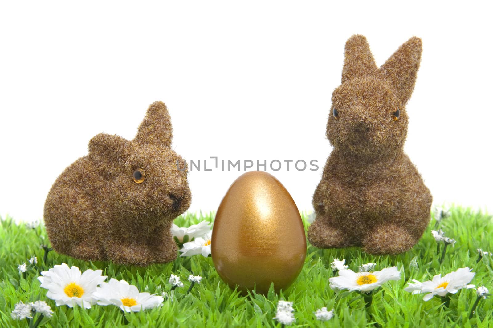 brown bunnies on grass with little white daisy and golden egg