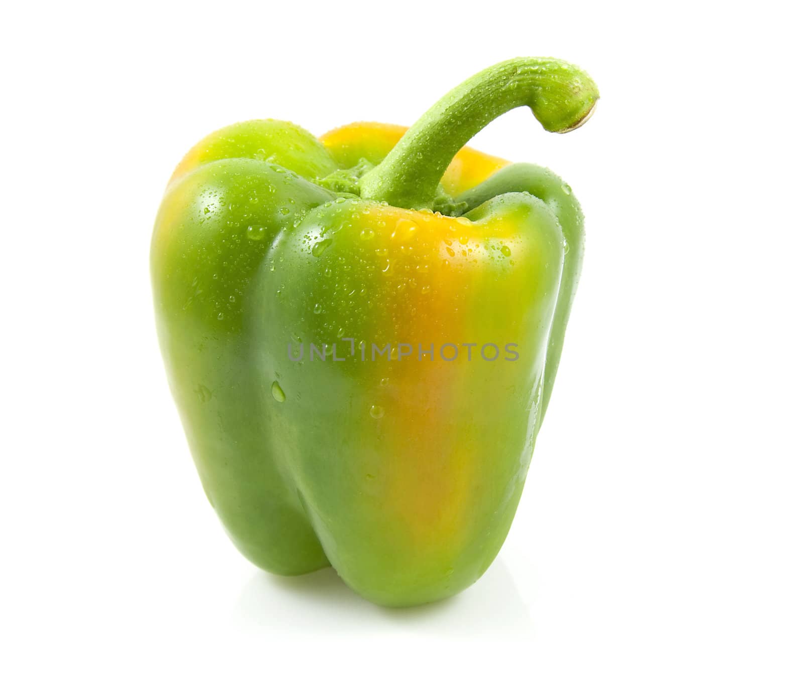 Fresh green paprika with waterdrops over white background