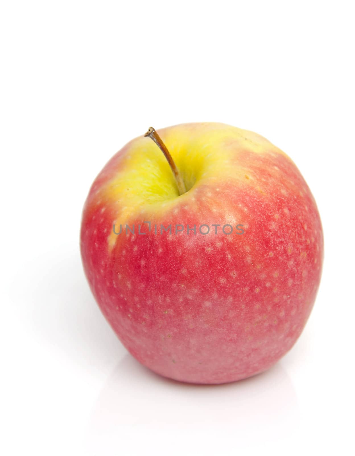 red apple in closeup over white background