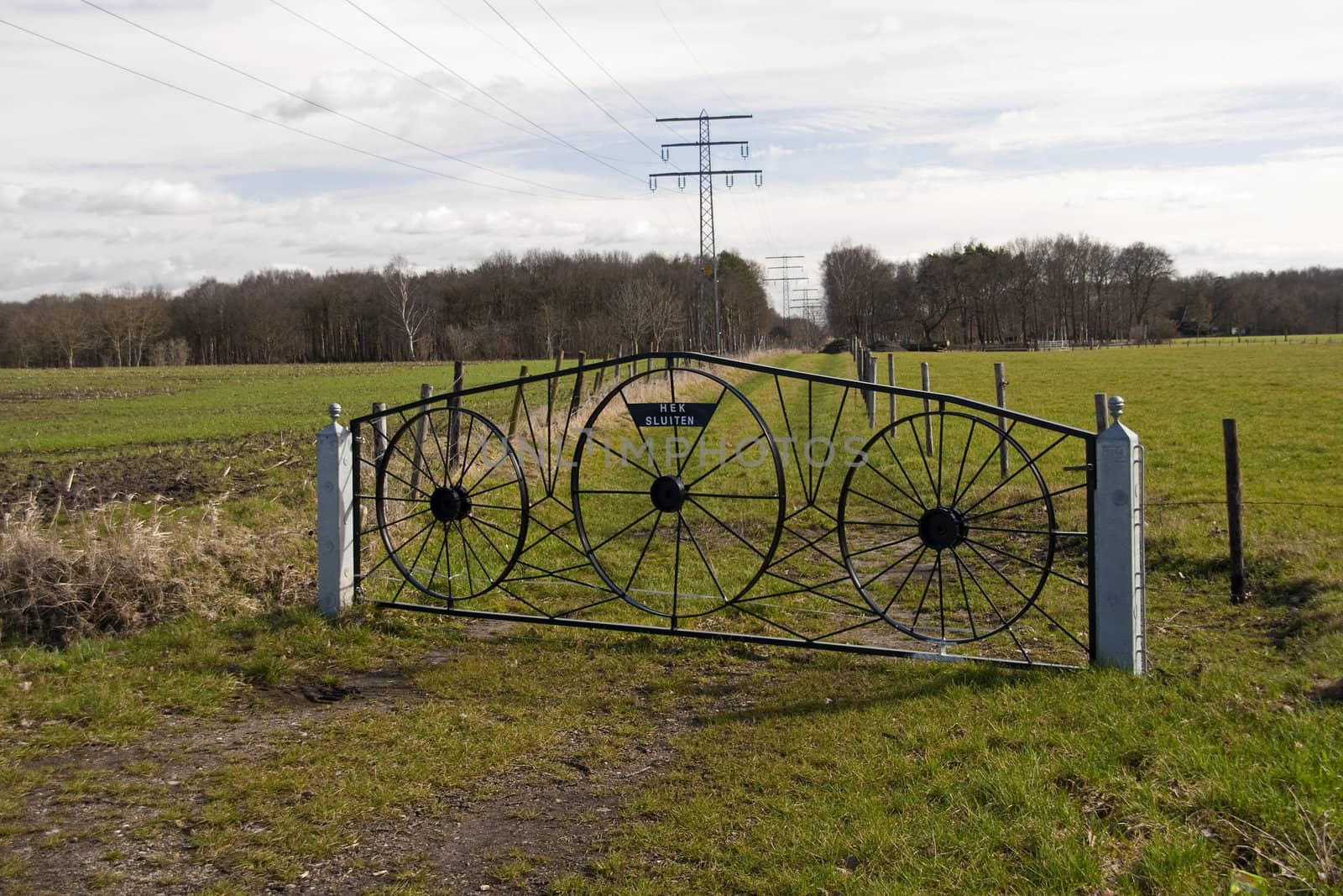 Fence in Dutch nature with electricity cables