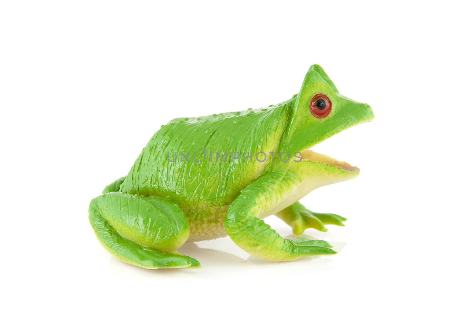 Plastic green frog toy over white background