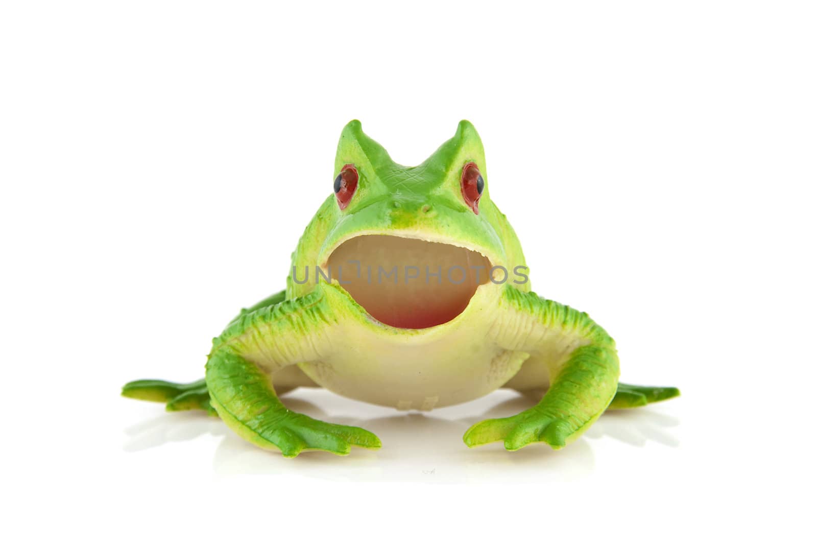 Plastic green frog toy over white background