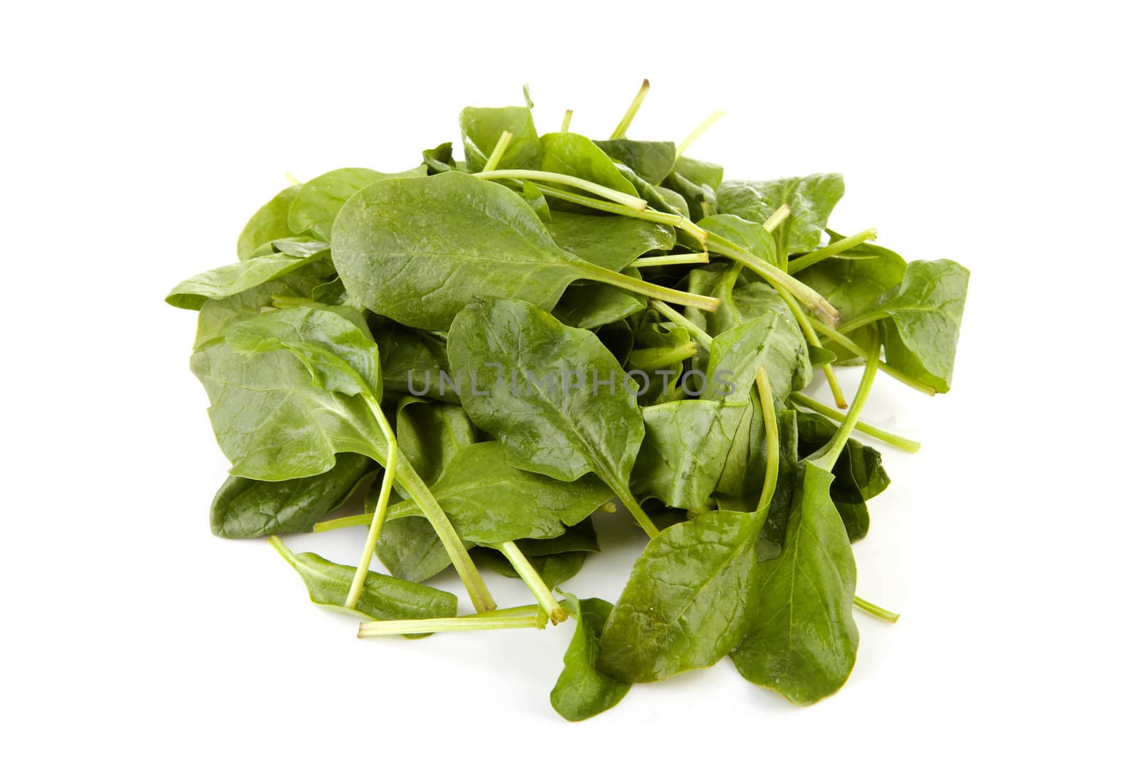 fresh leaves of spinach isolated on white background