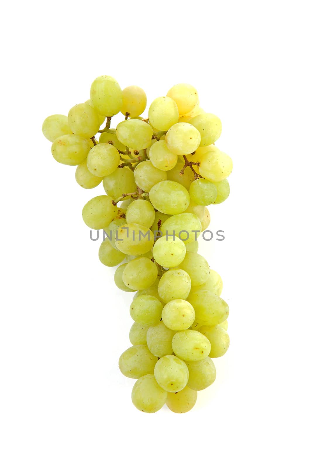Bunch of white grapes over white background
