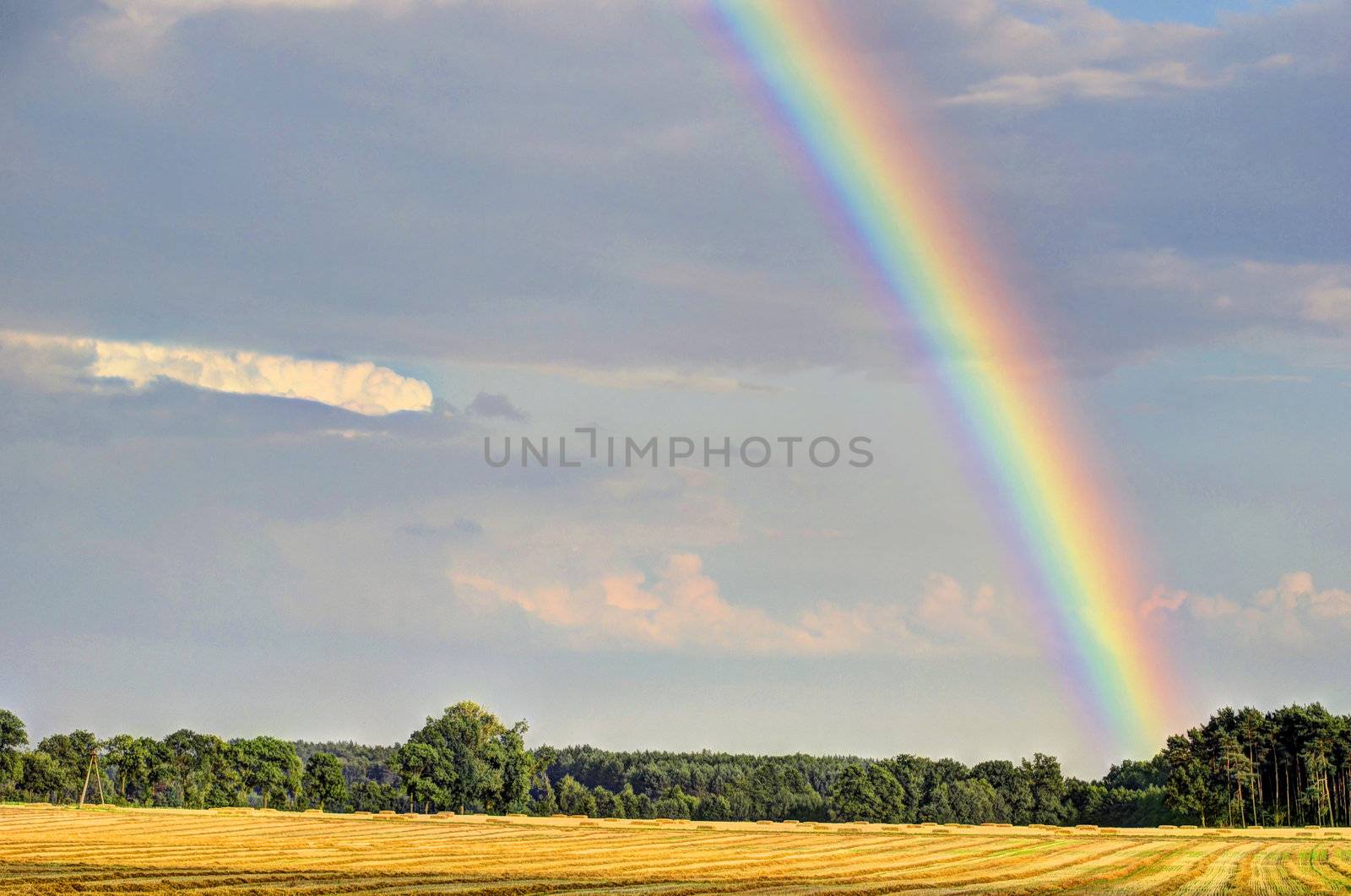 This photo present Rainbow over the stubble.