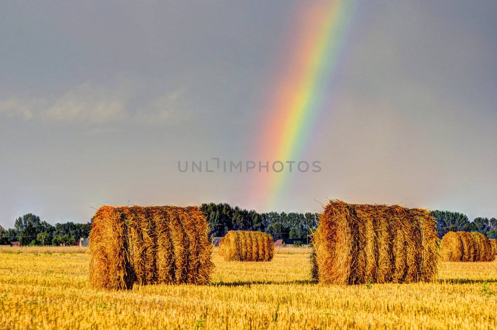 This photo present Rainbow over the stubble.