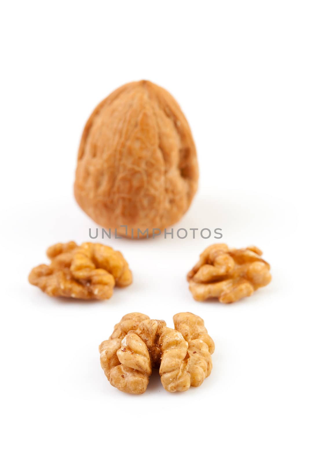 pieces and whole walnut isolated on white background